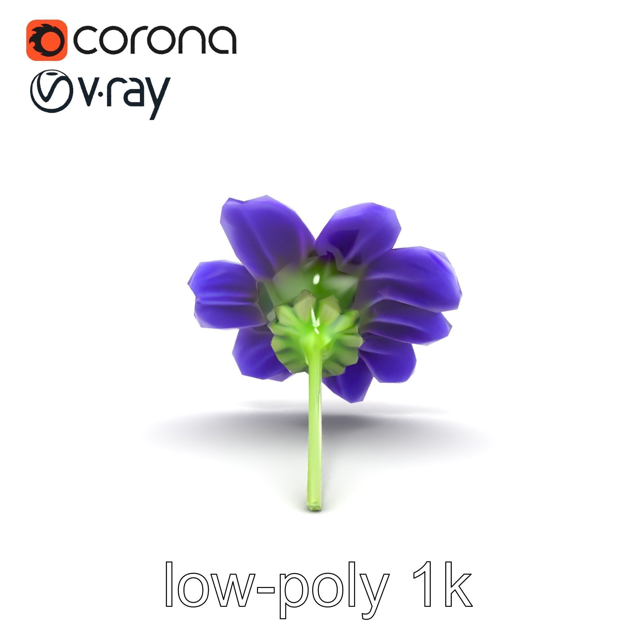 Lavandula Bicolor Flower Gradient Petals model pack Low-poly 3D model_17