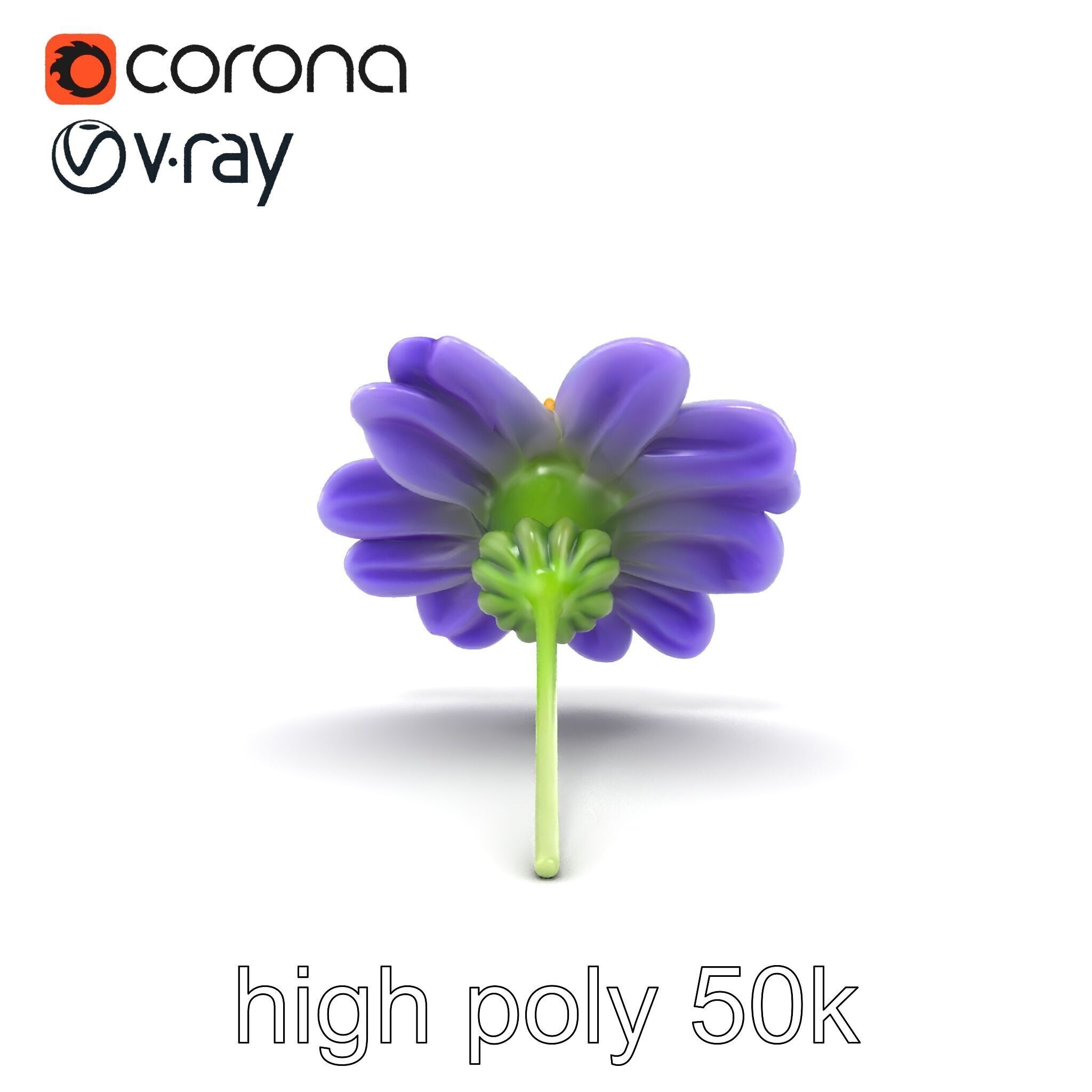 Lavandula Bicolor Flower Gradient Petals model pack Low-poly 3D model_29