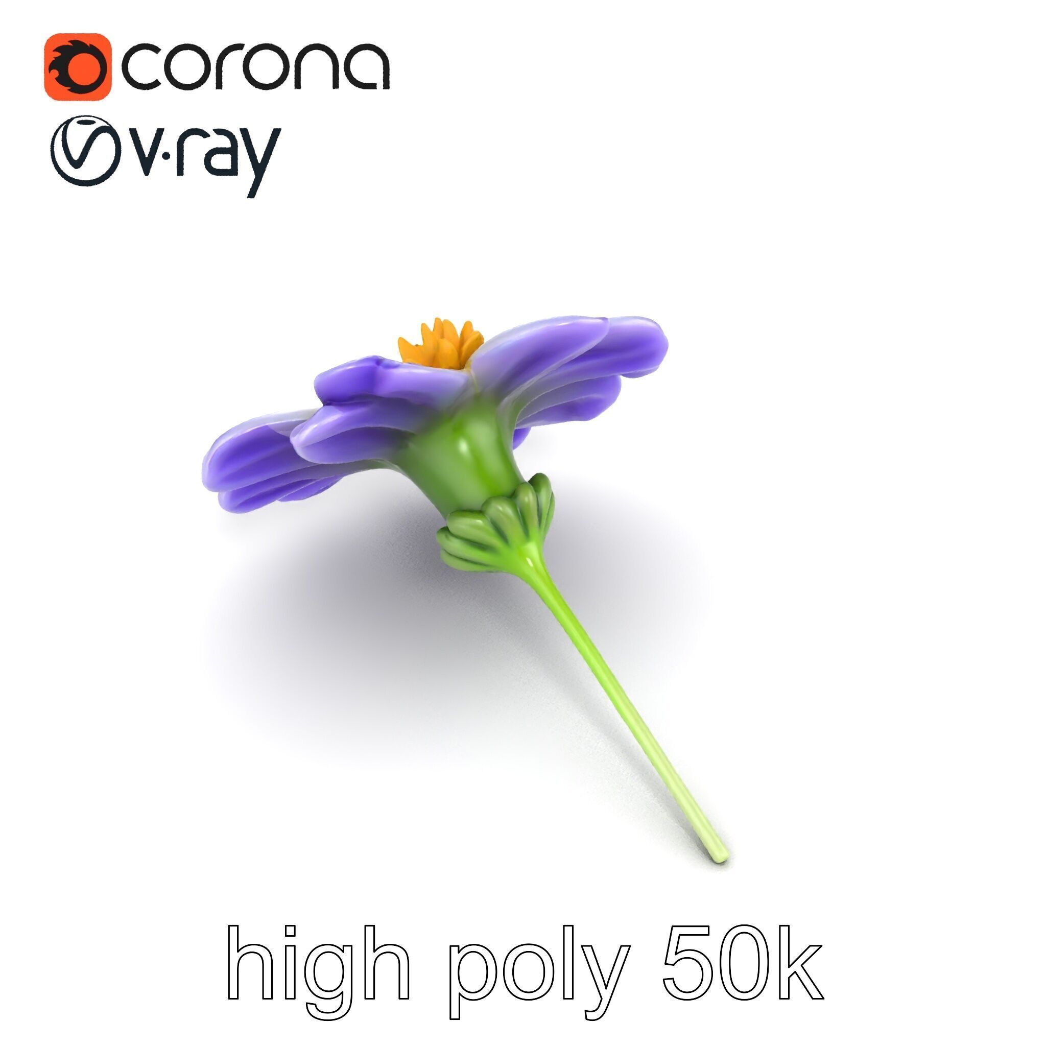 Lavandula Bicolor Flower Gradient Petals model pack Low-poly 3D model_22