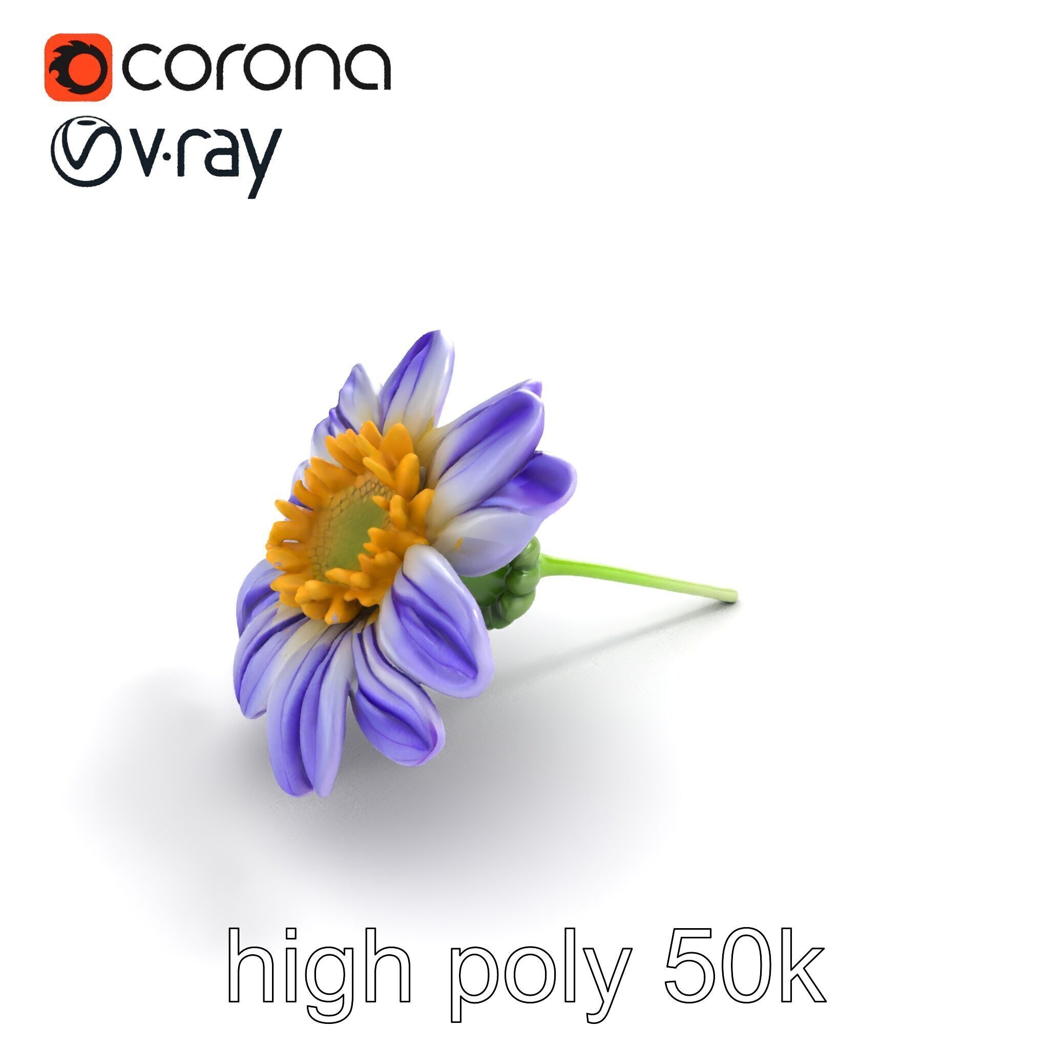 Lavandula Bicolor Flower Gradient Petals model pack Low-poly 3D model_9