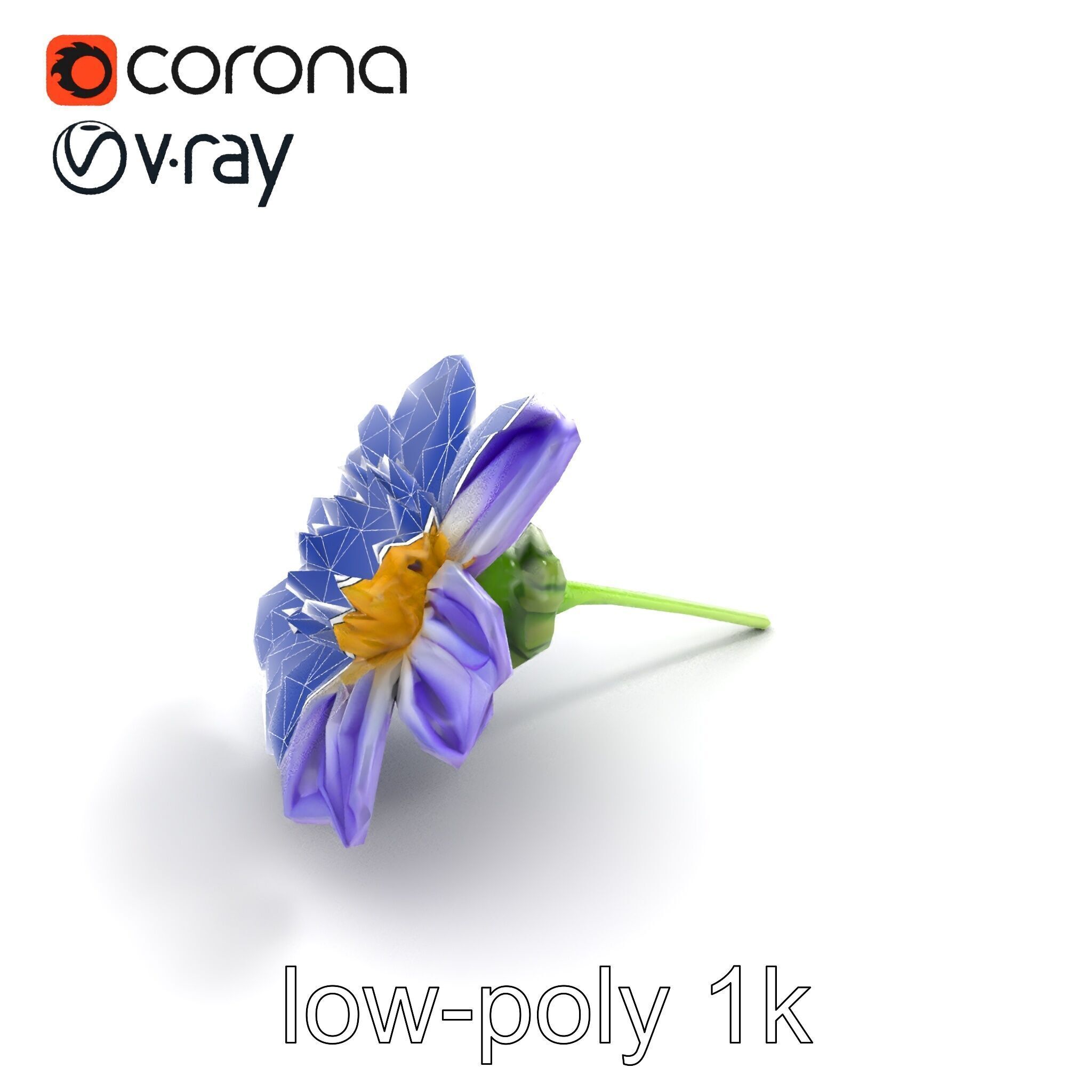 Lavandula Bicolor Flower Gradient Petals model pack Low-poly 3D model_28