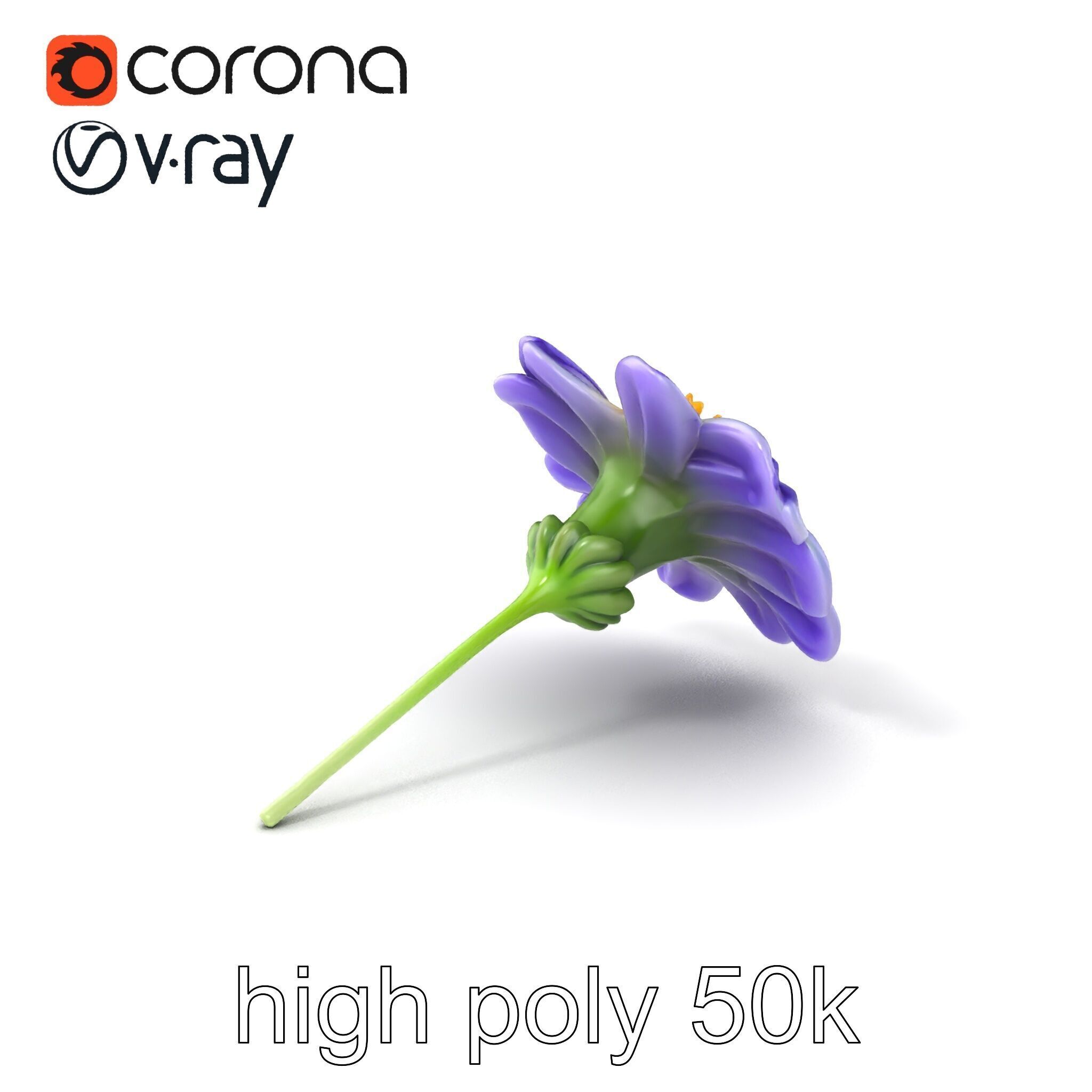 Lavandula Bicolor Flower Gradient Petals model pack Low-poly 3D model_2