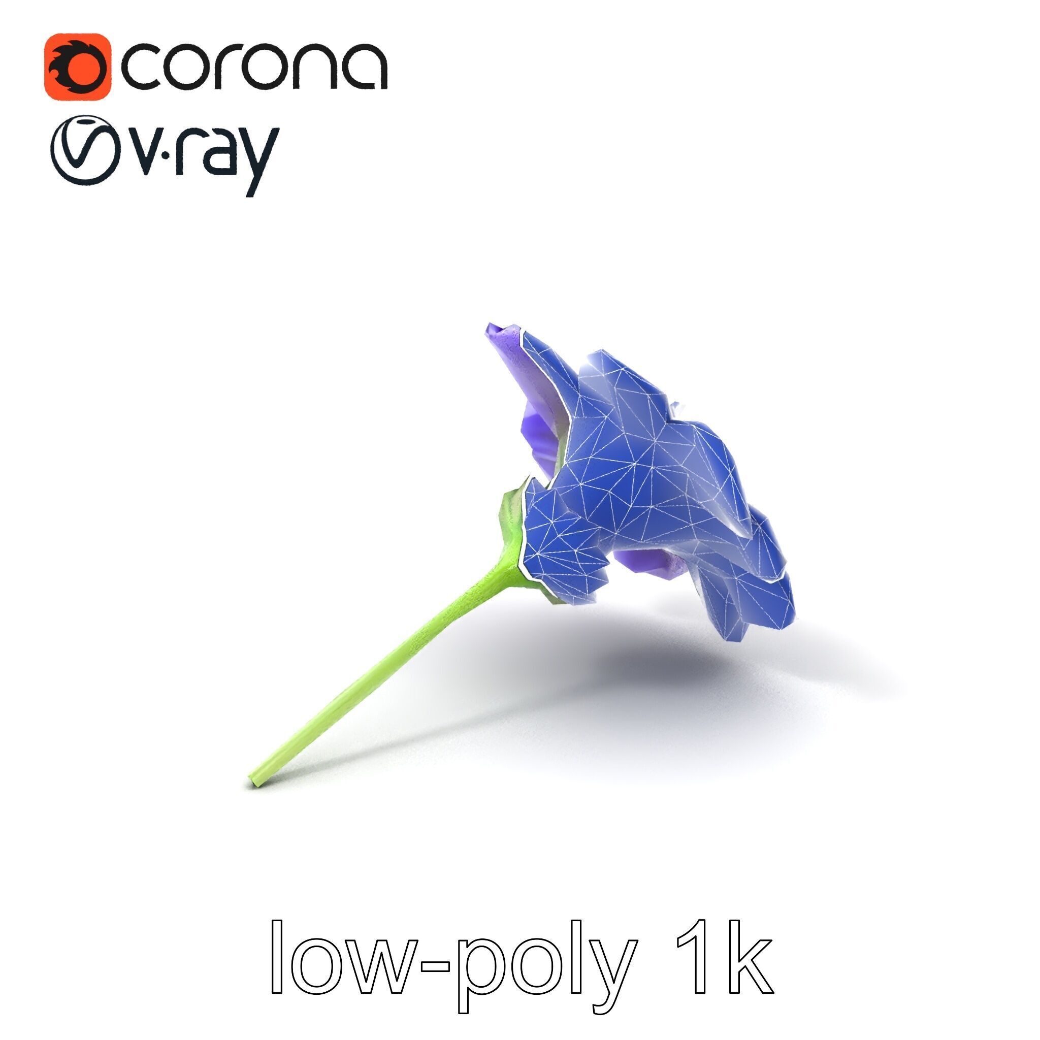 Lavandula Bicolor Flower Gradient Petals model pack Low-poly 3D model_6