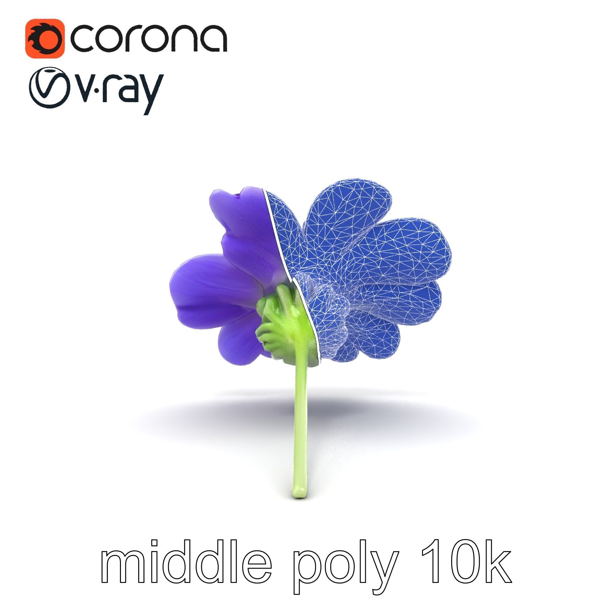 Lavandula Bicolor Flower Gradient Petals model pack Low-poly 3D model_11