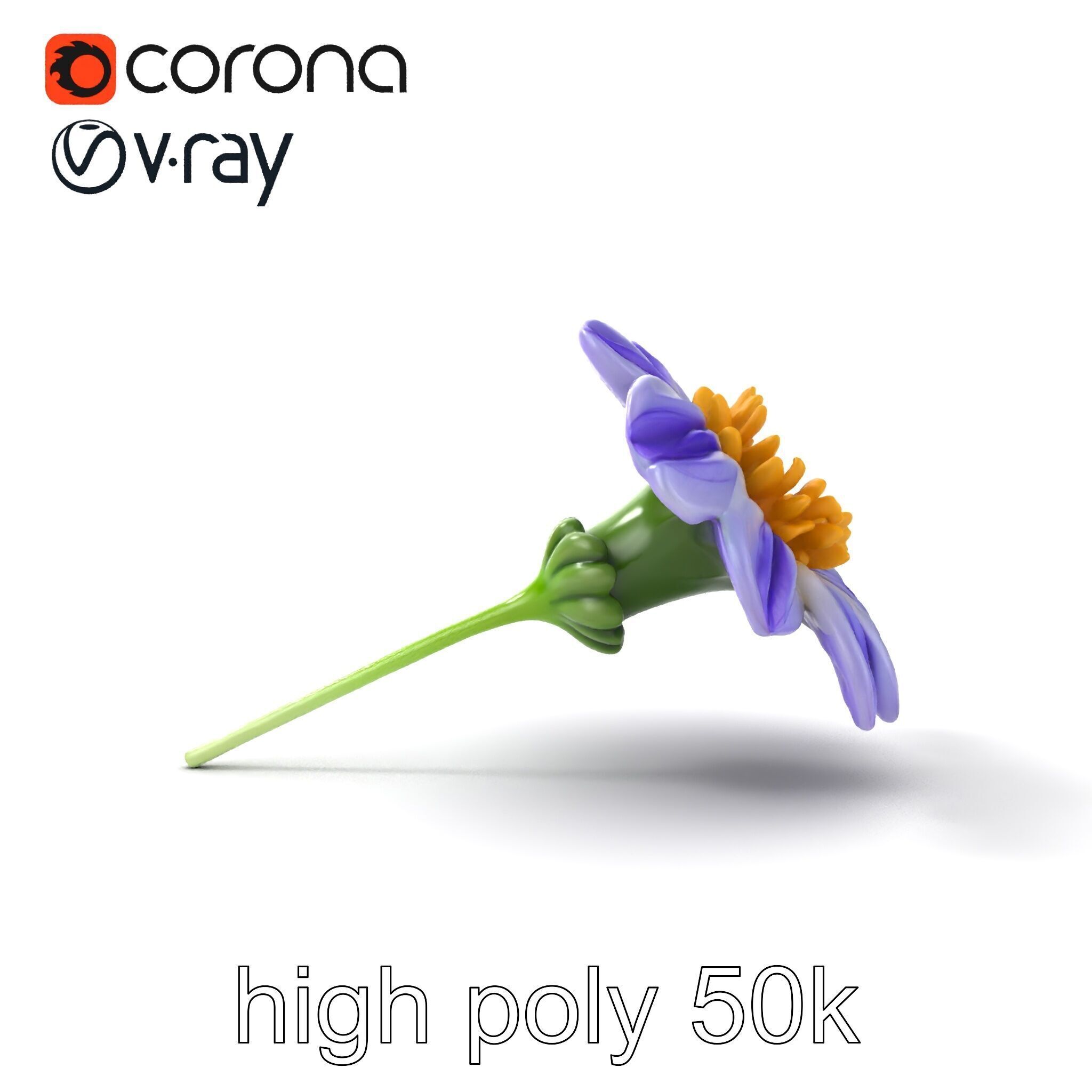 Lavandula Bicolor Flower Gradient Petals model pack Low-poly 3D model_27