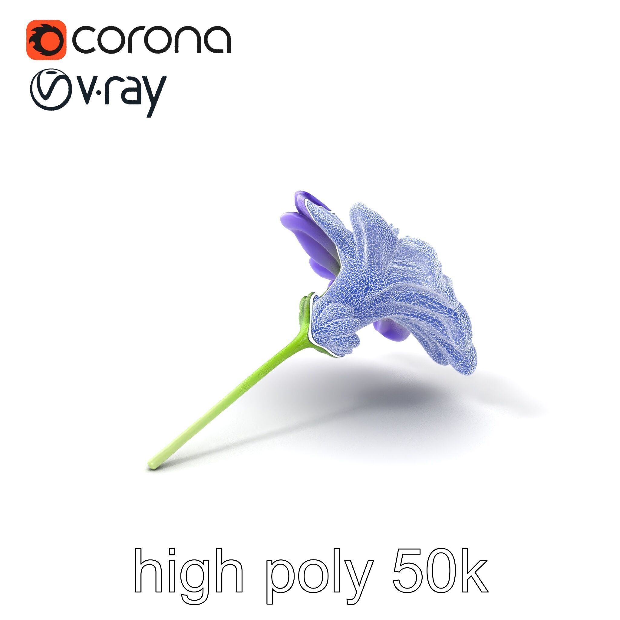 Lavandula Bicolor Flower Gradient Petals model pack Low-poly 3D model_1