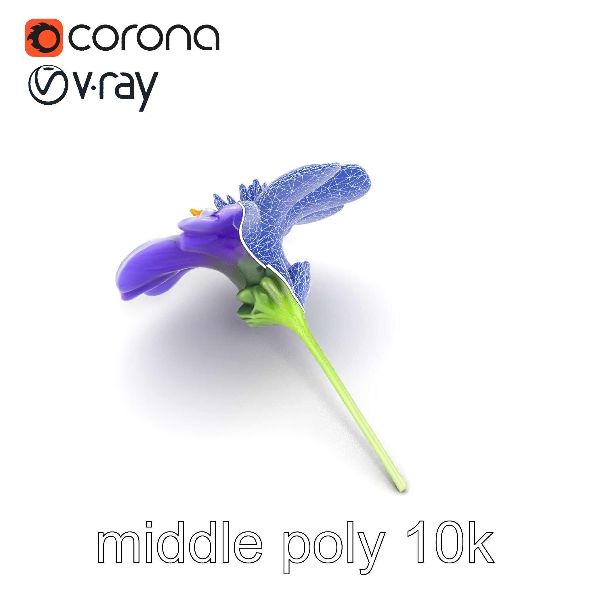 Lavandula Bicolor Flower Gradient Petals model pack Low-poly 3D model_24