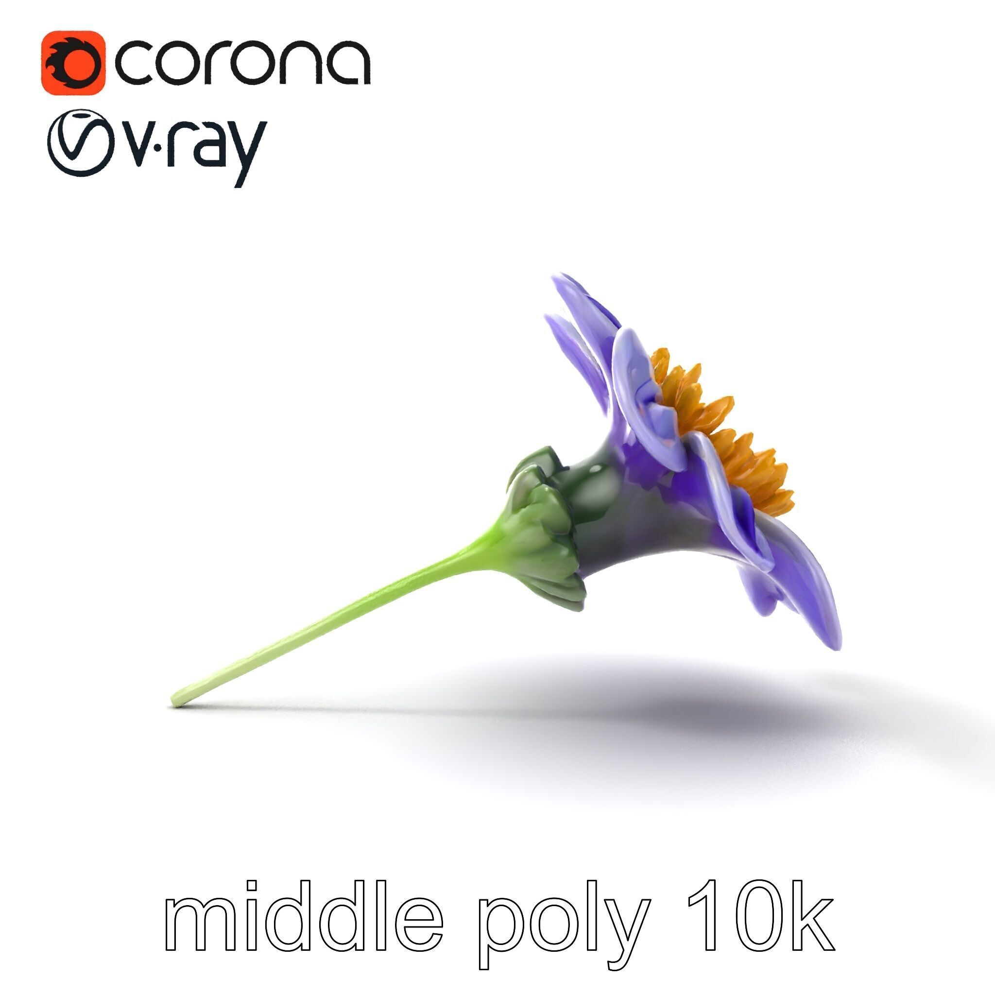 Lavandula Bicolor Flower Gradient Petals model pack Low-poly 3D model_16