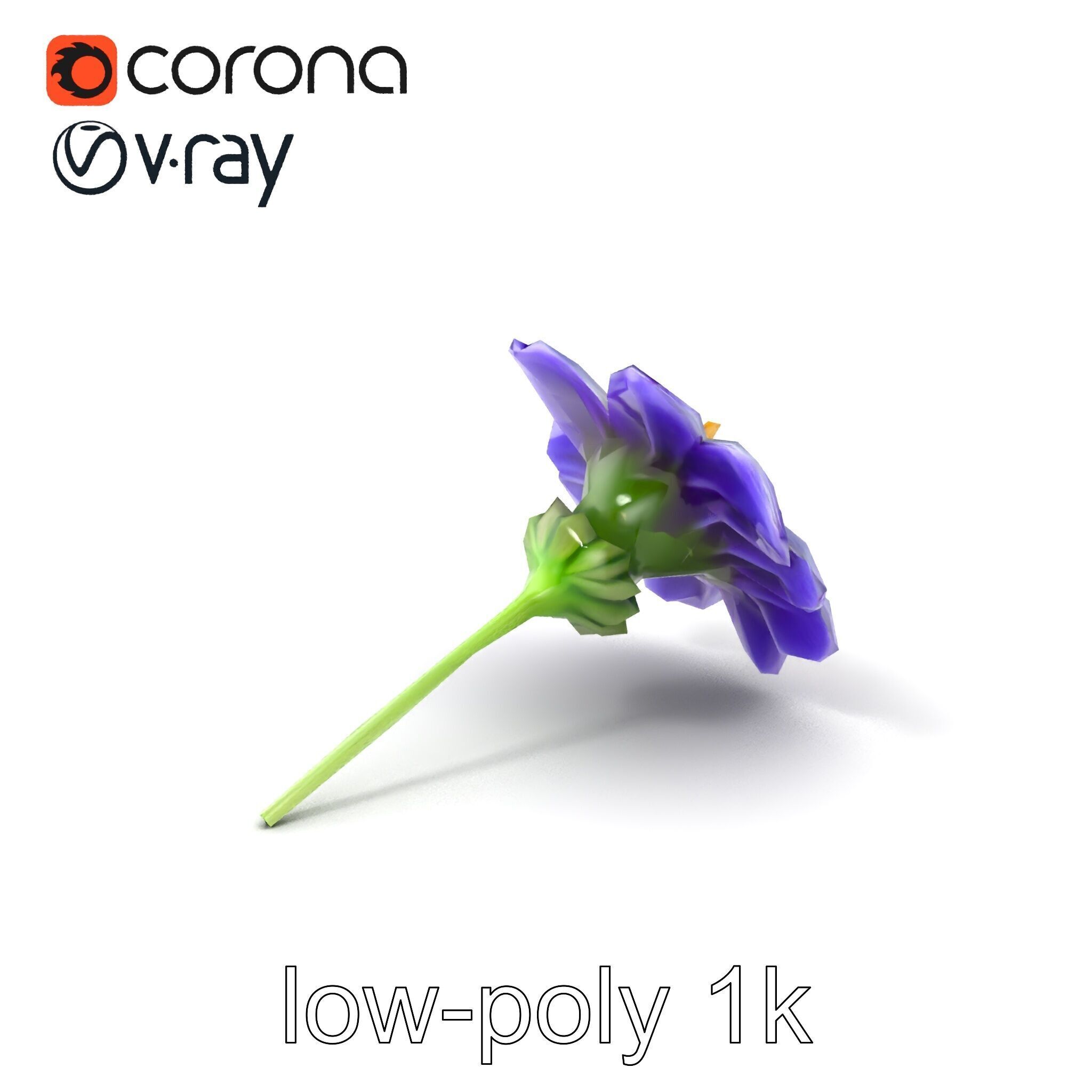 Lavandula Bicolor Flower Gradient Petals model pack Low-poly 3D model_4