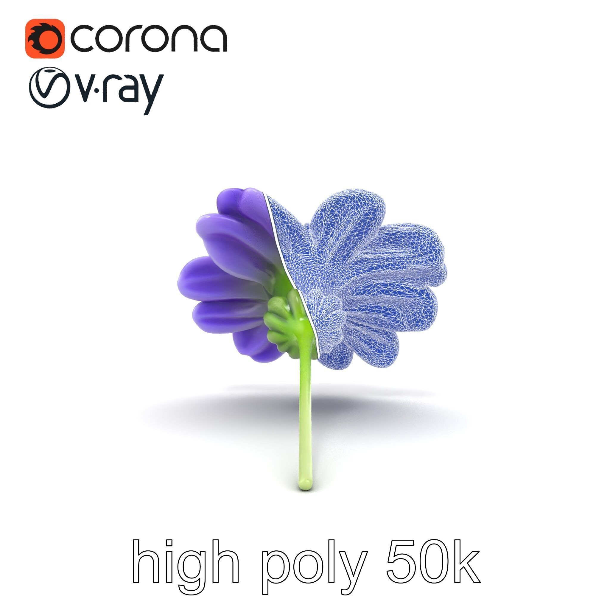 Lavandula Bicolor Flower Gradient Petals model pack Low-poly 3D model_12