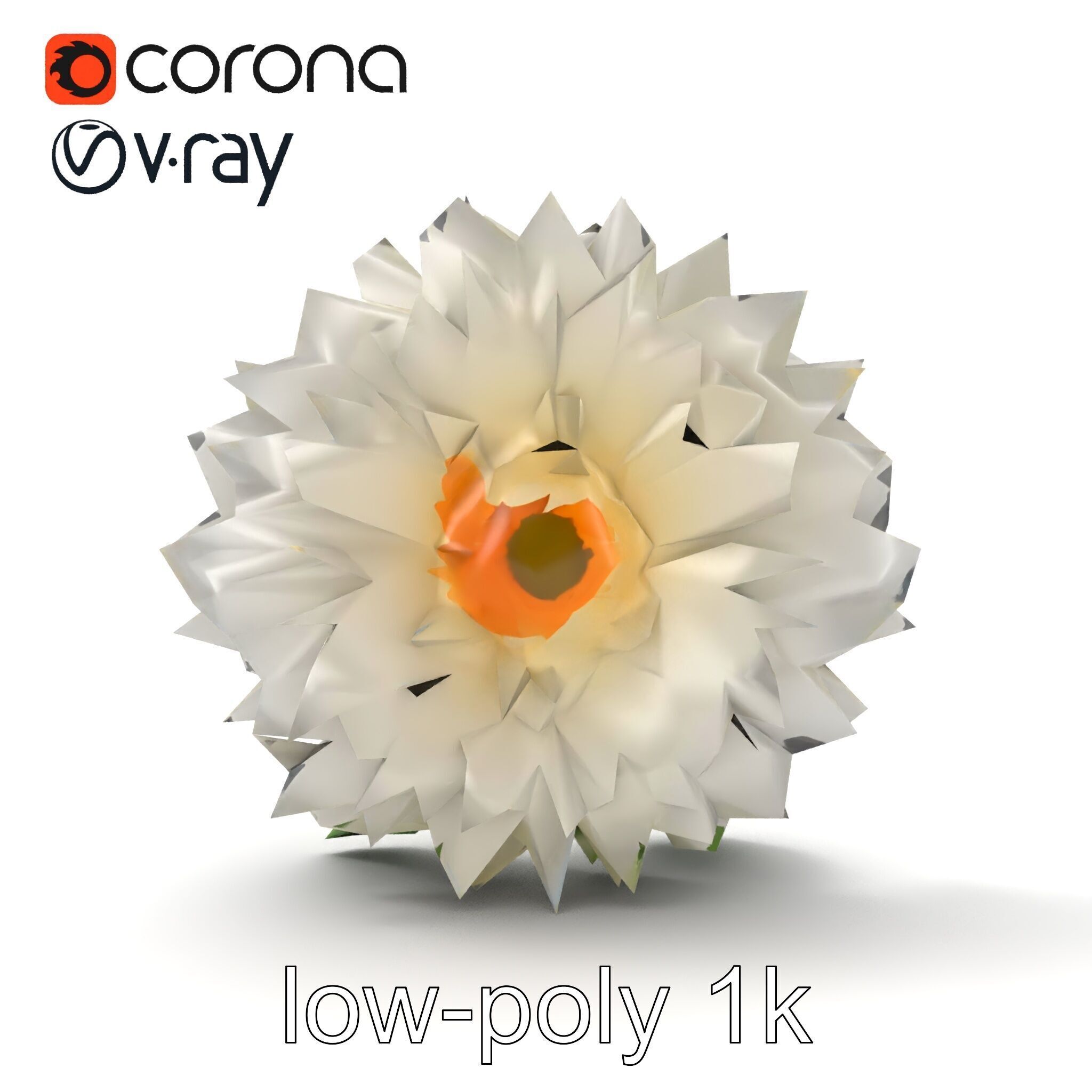 Chrysanthemum White Petal Realistic Texture model pack Low-poly 3D model_22