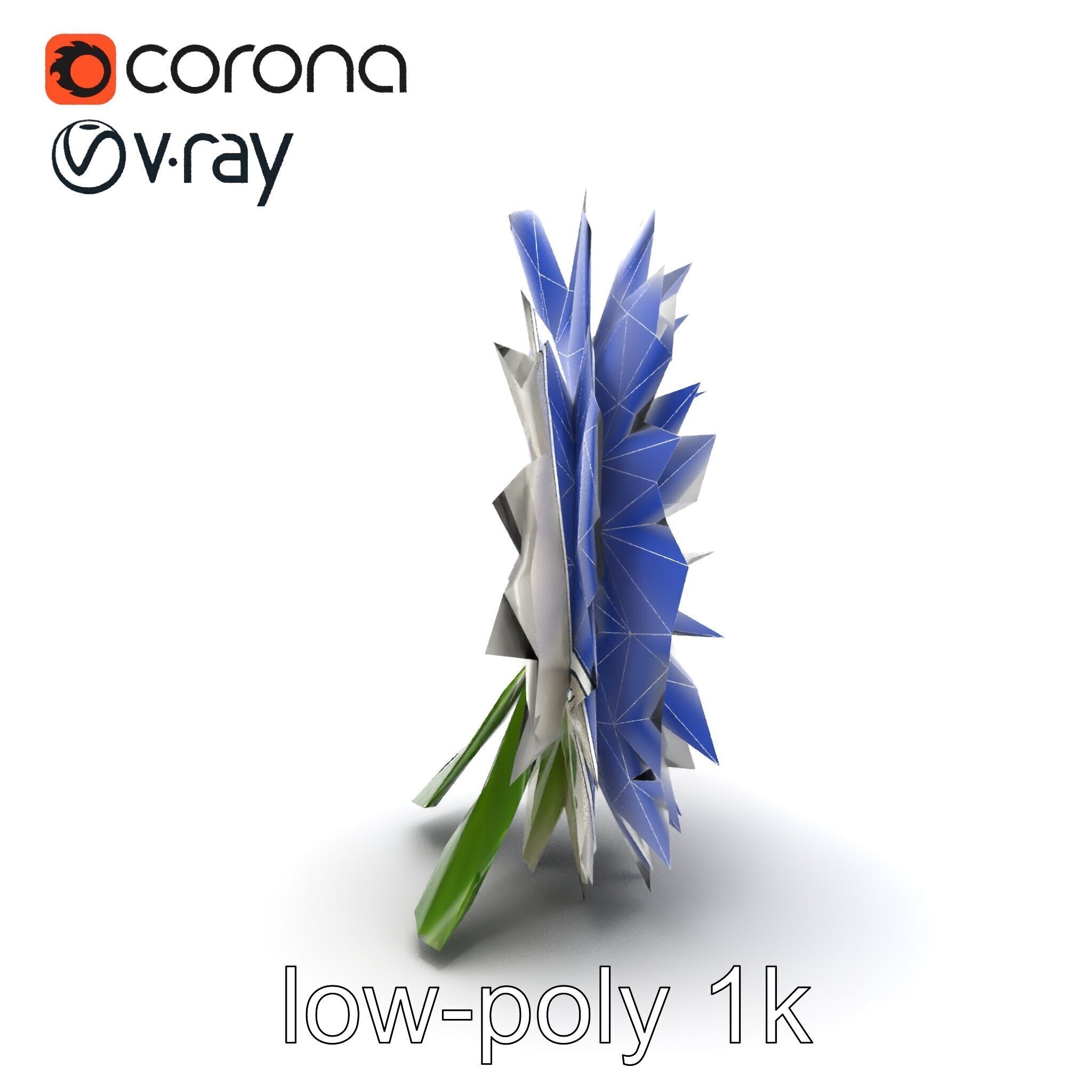 Chrysanthemum White Petal Realistic Texture model pack Low-poly 3D model_13