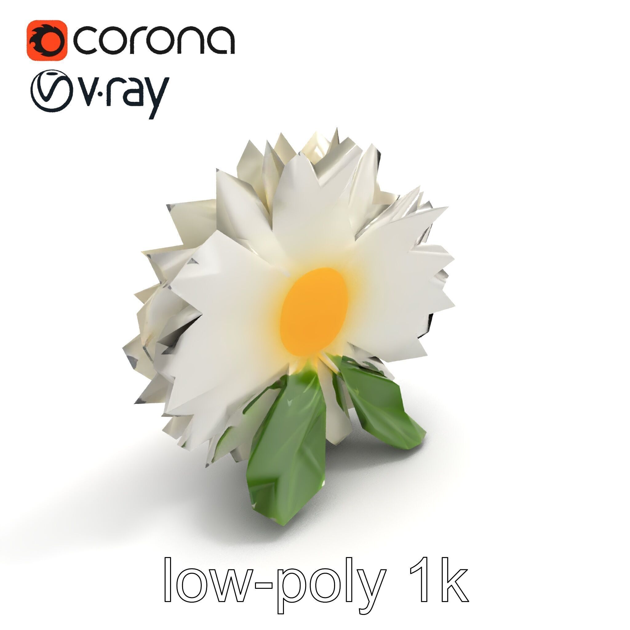Chrysanthemum White Petal Realistic Texture model pack Low-poly 3D model_8