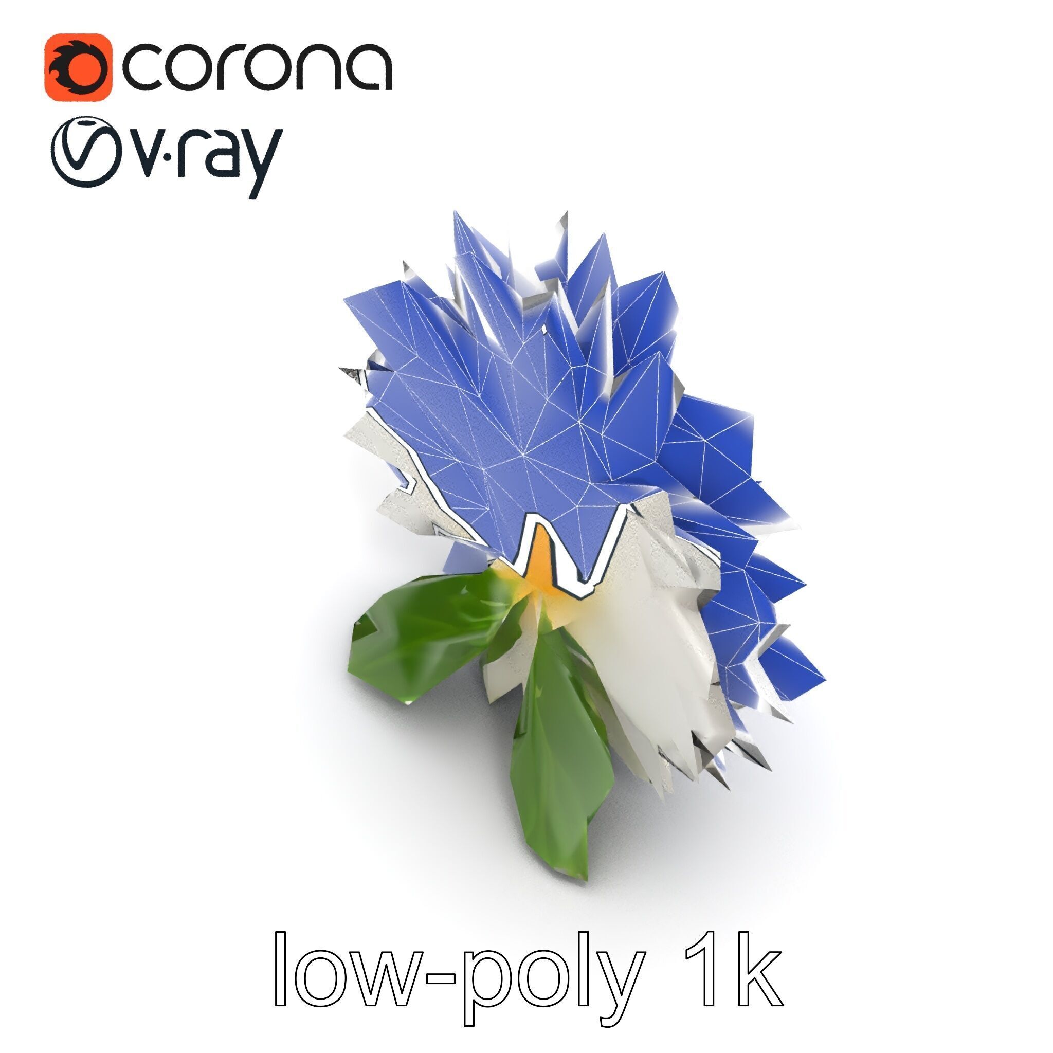 Chrysanthemum White Petal Realistic Texture model pack Low-poly 3D model_11