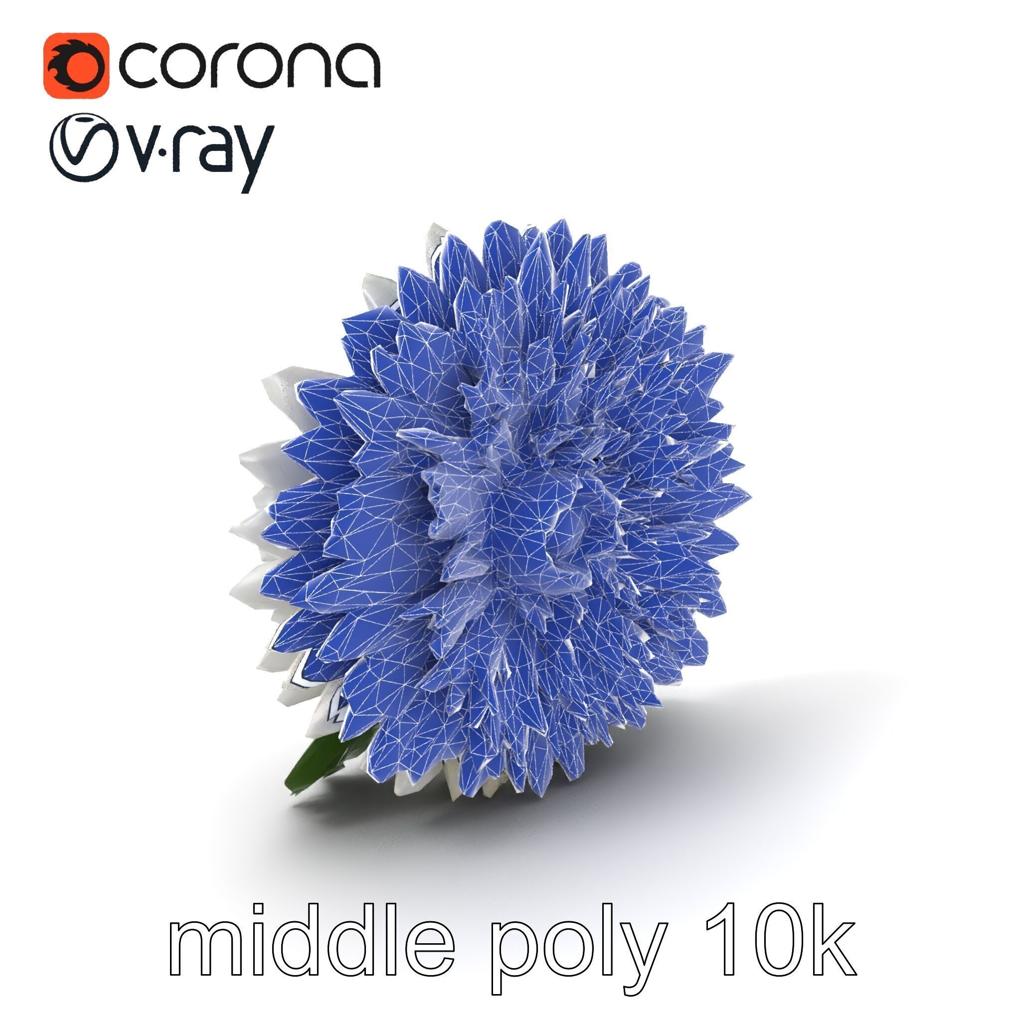 Chrysanthemum White Petal Realistic Texture model pack Low-poly 3D model_5