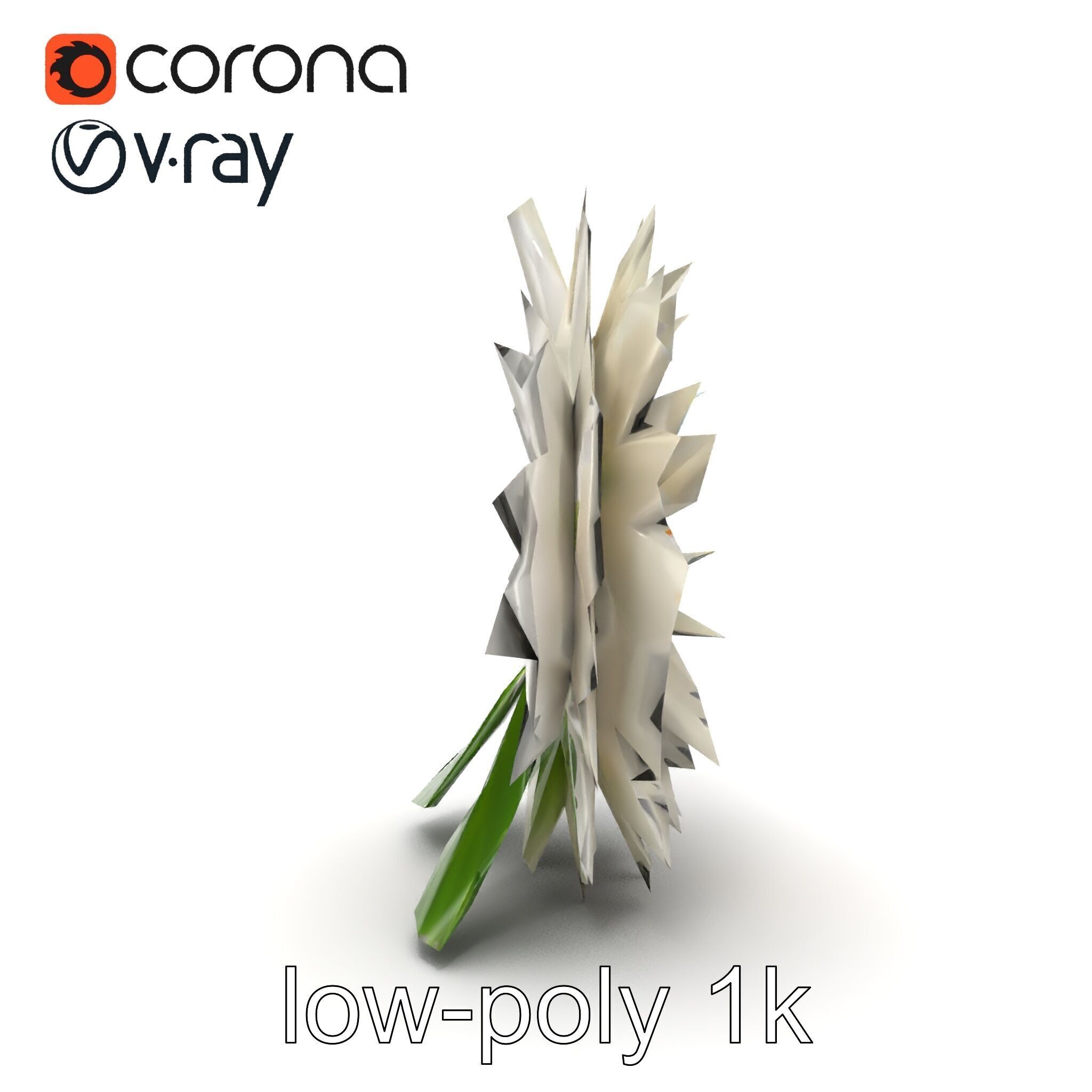 Chrysanthemum White Petal Realistic Texture model pack Low-poly 3D model_17