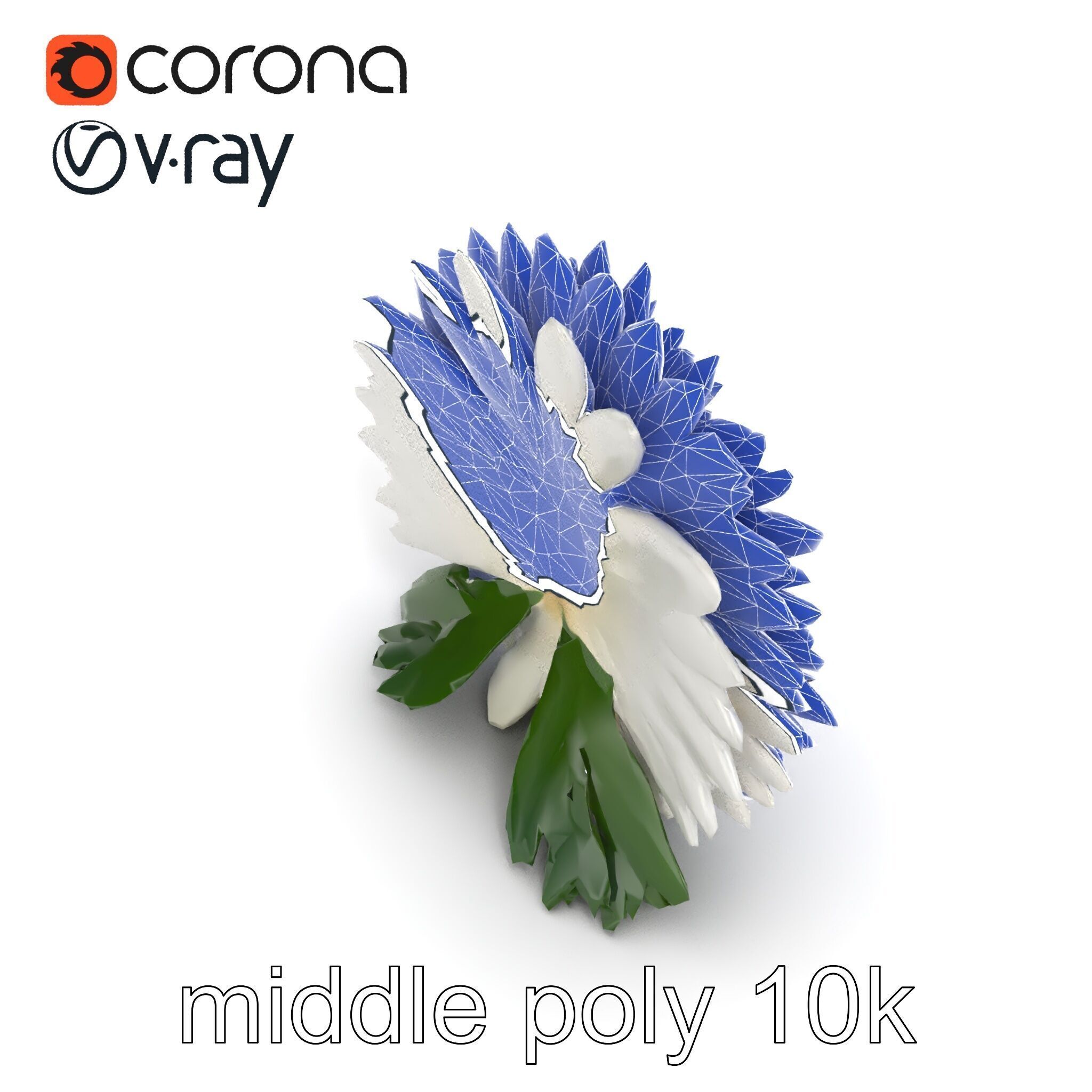 Chrysanthemum White Petal Realistic Texture model pack Low-poly 3D model_21