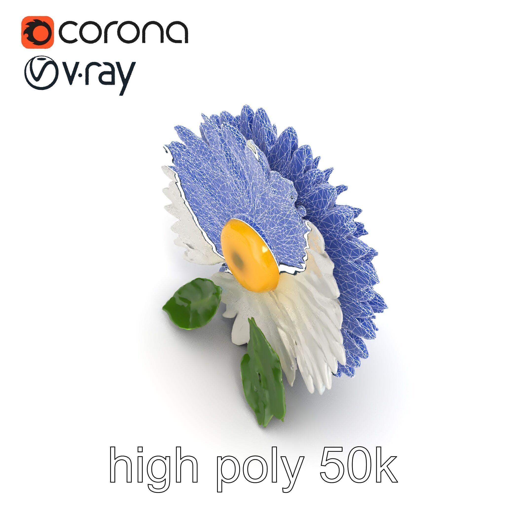 Chrysanthemum White Petal Realistic Texture model pack Low-poly 3D model_20