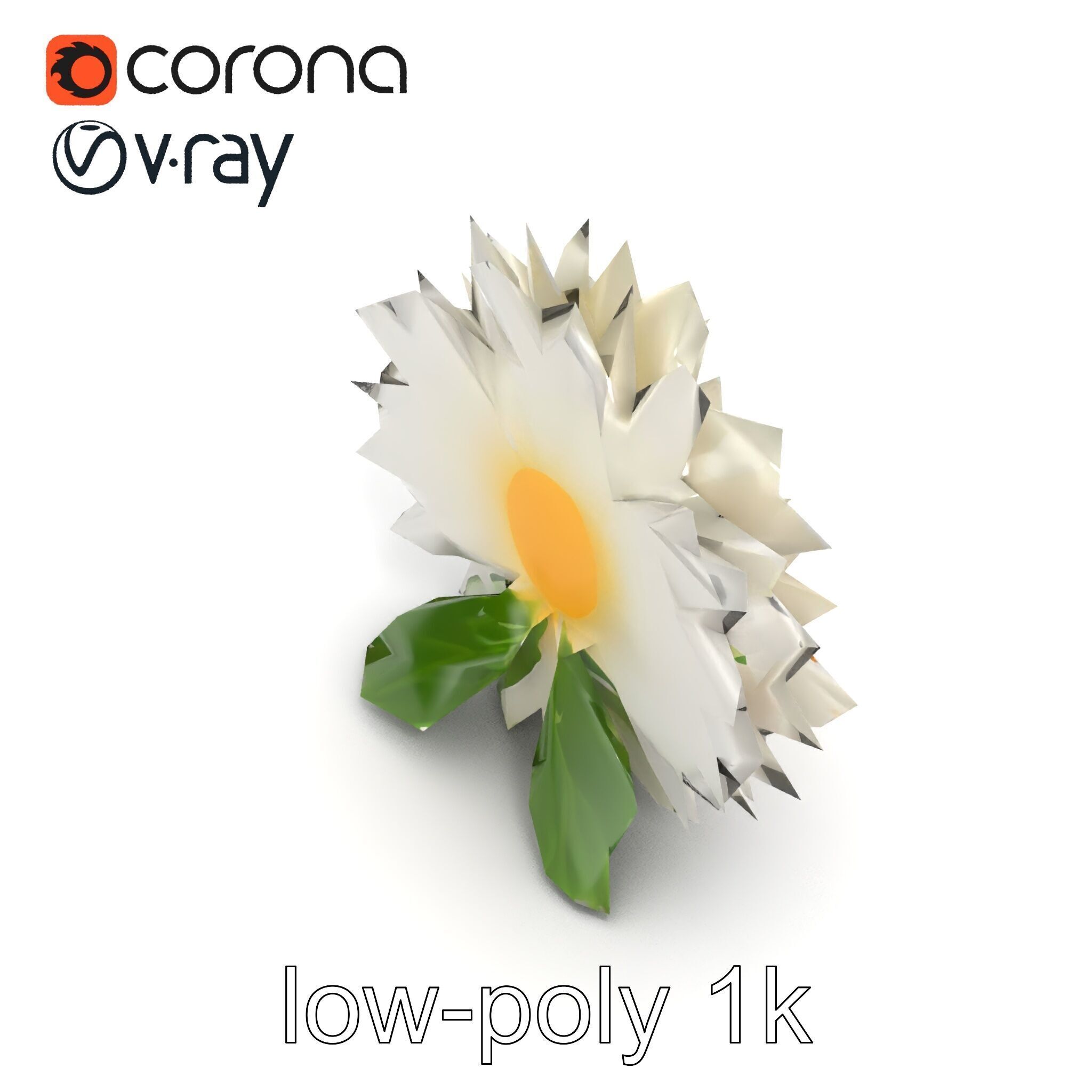 Chrysanthemum White Petal Realistic Texture model pack Low-poly 3D model_24