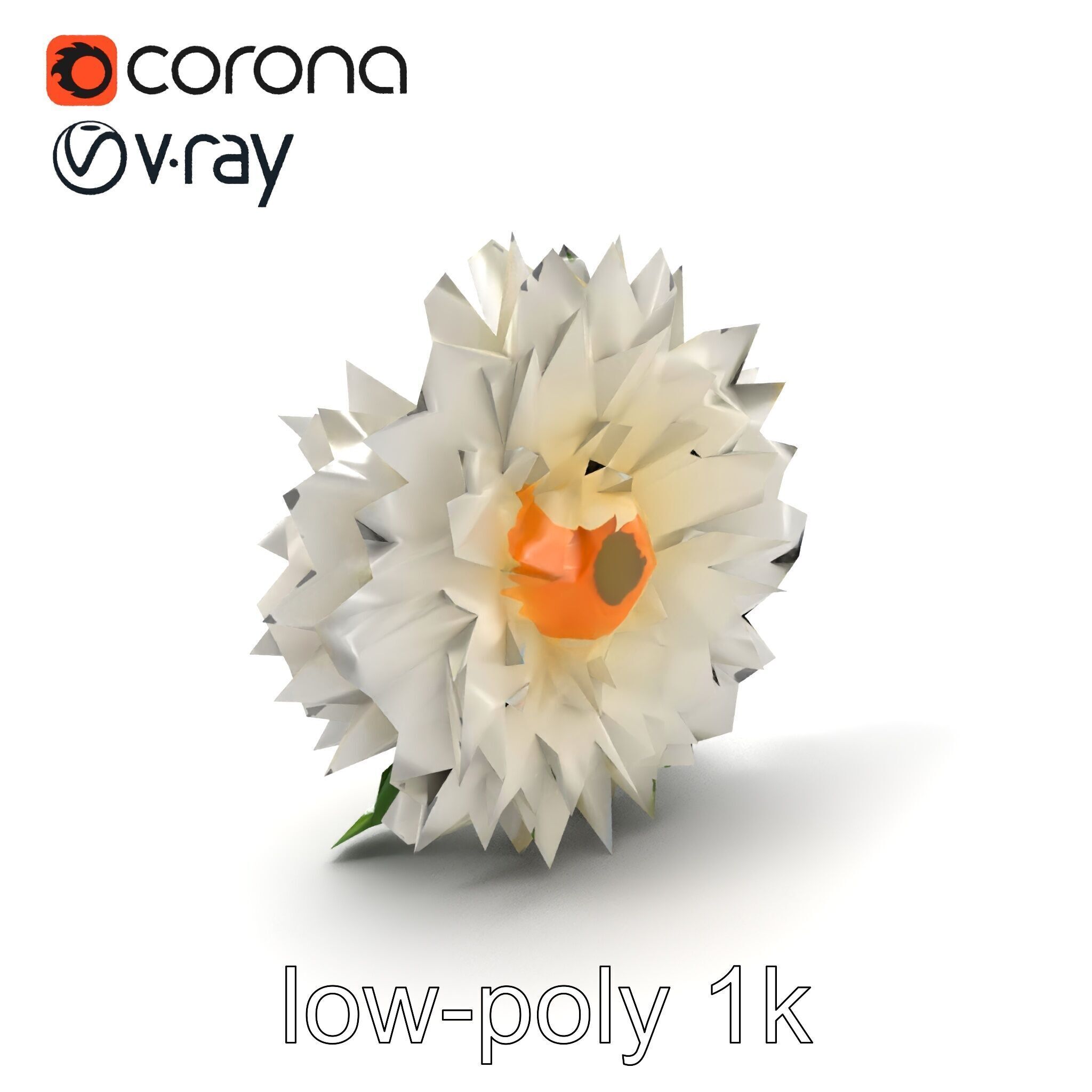 Chrysanthemum White Petal Realistic Texture model pack Low-poly 3D model_4