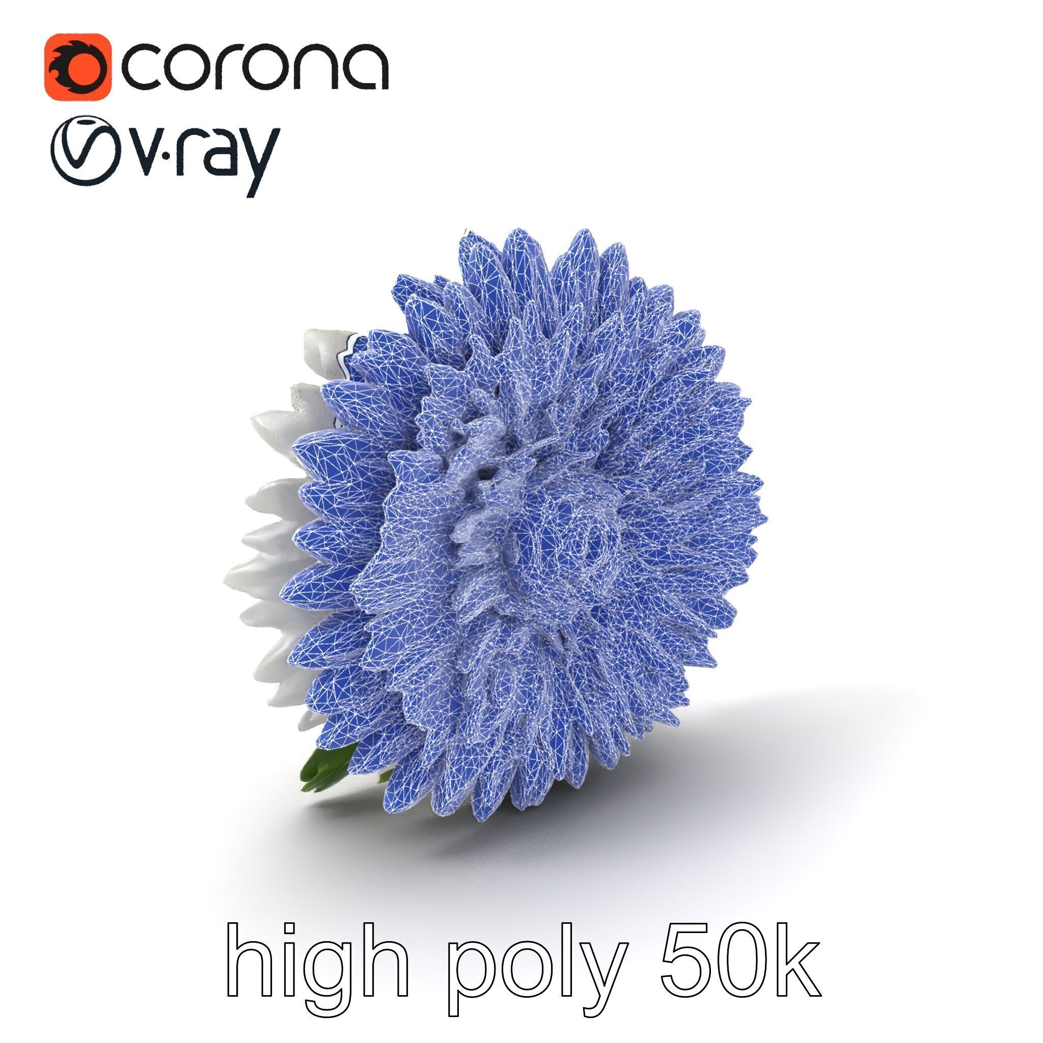 Chrysanthemum White Petal Realistic Texture model pack Low-poly 3D model_1