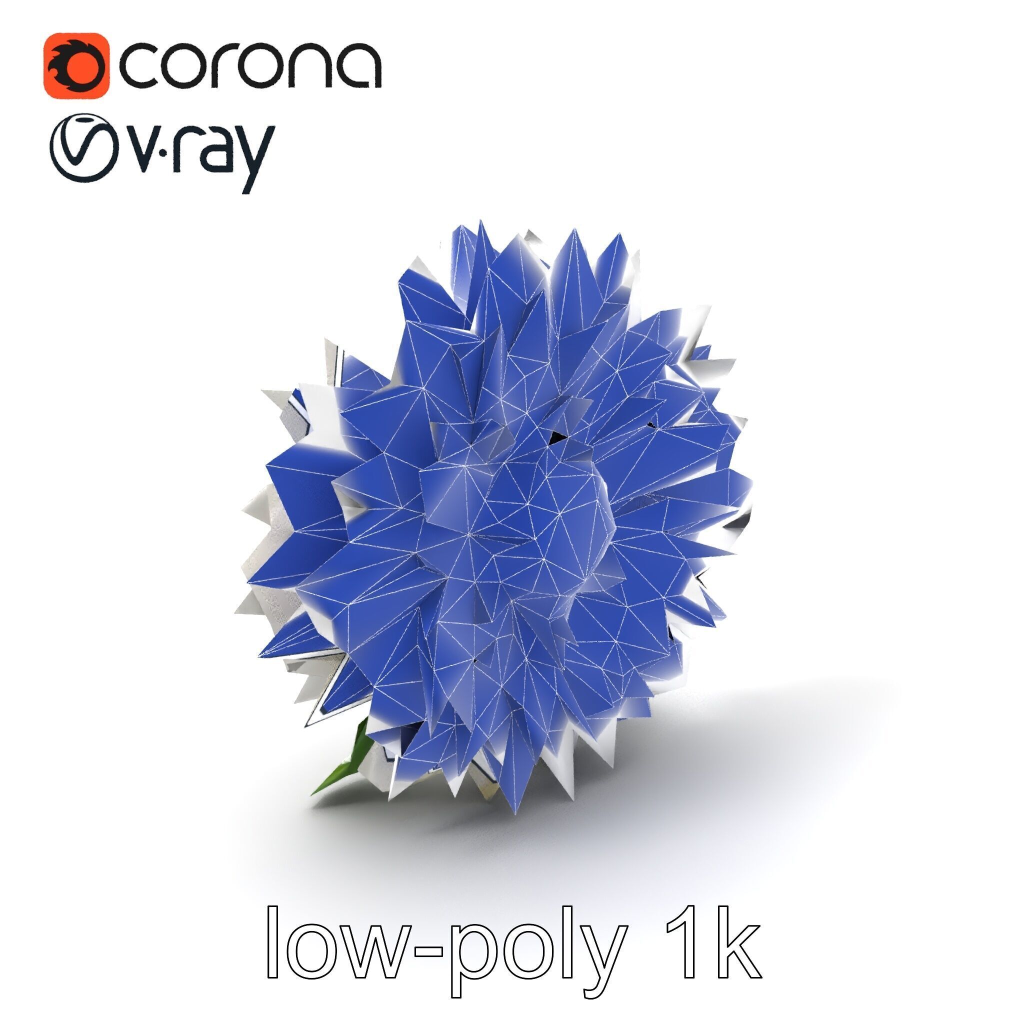Chrysanthemum White Petal Realistic Texture model pack Low-poly 3D model_6