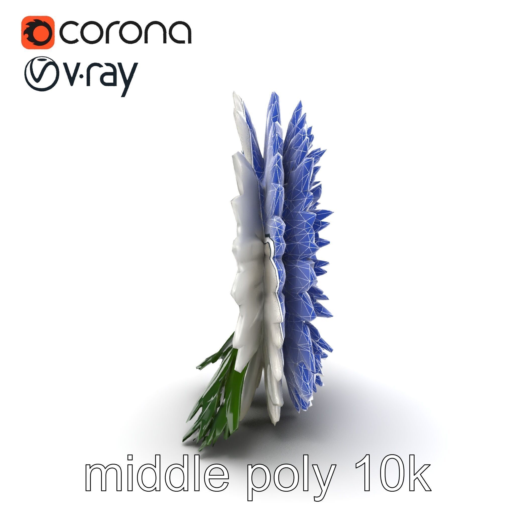 Chrysanthemum White Petal Realistic Texture model pack Low-poly 3D model_26