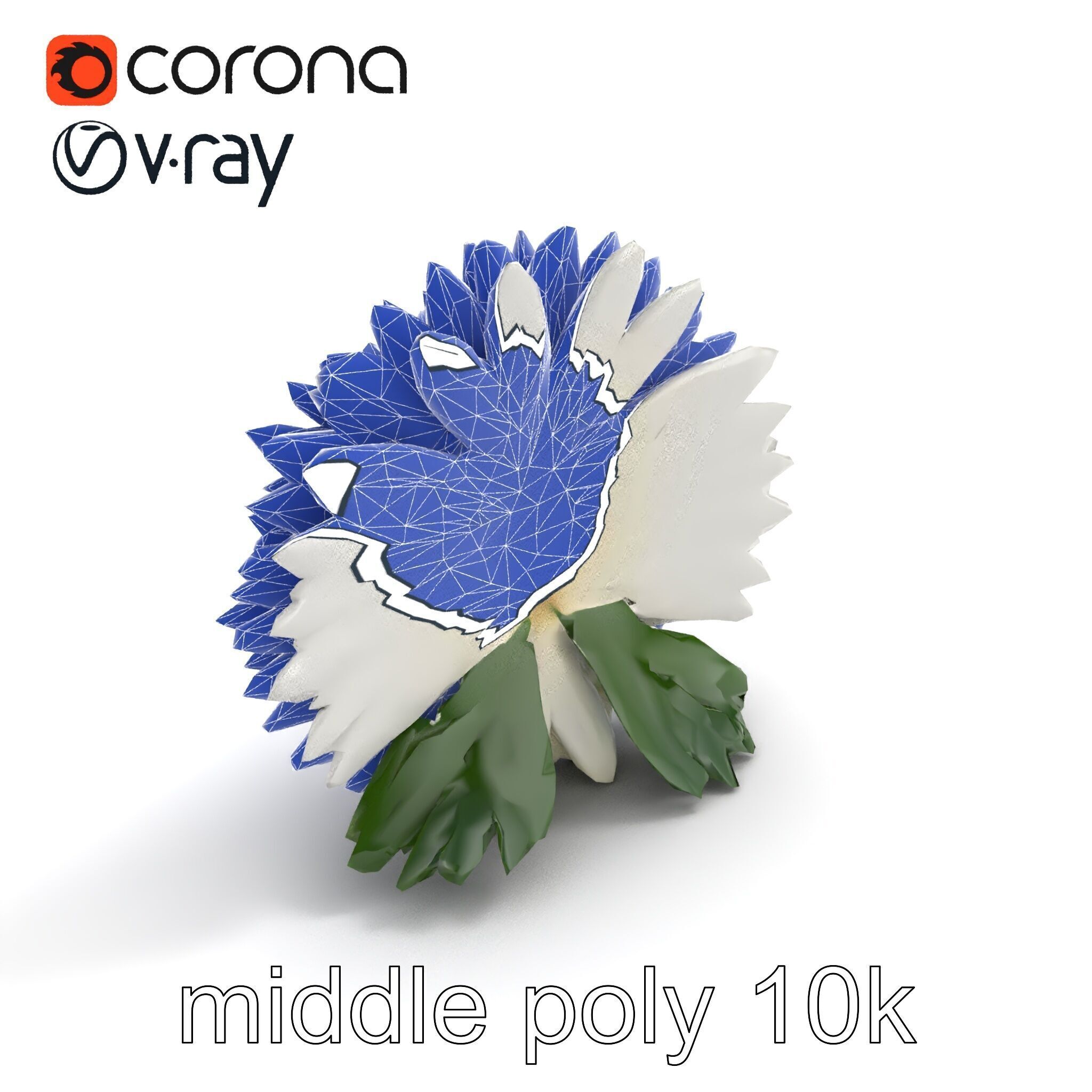 Chrysanthemum White Petal Realistic Texture model pack Low-poly 3D model_29