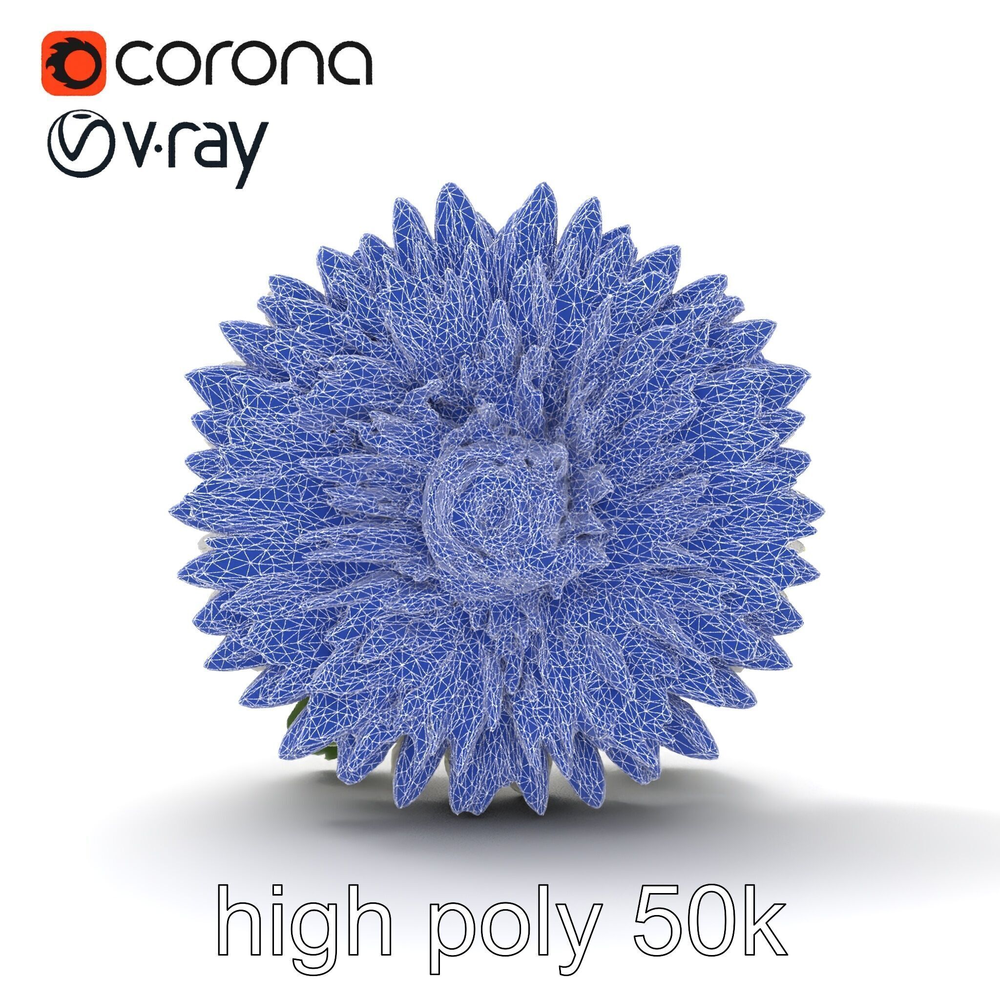 Chrysanthemum White Petal Realistic Texture model pack Low-poly 3D model_23