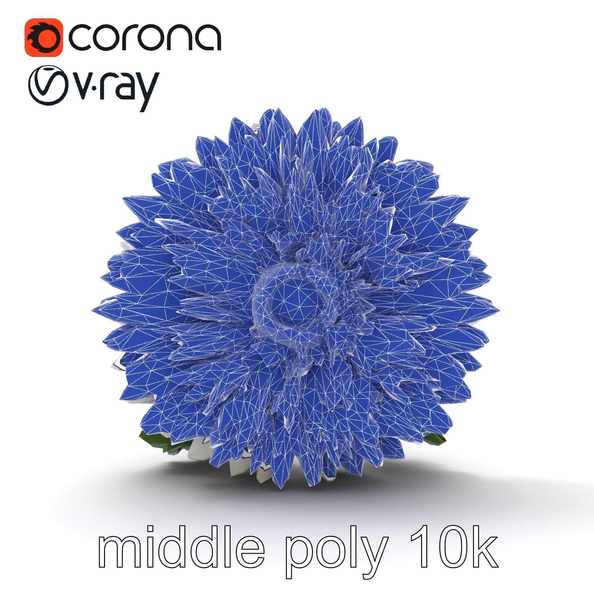 Chrysanthemum White Petal Realistic Texture model pack Low-poly 3D model_15