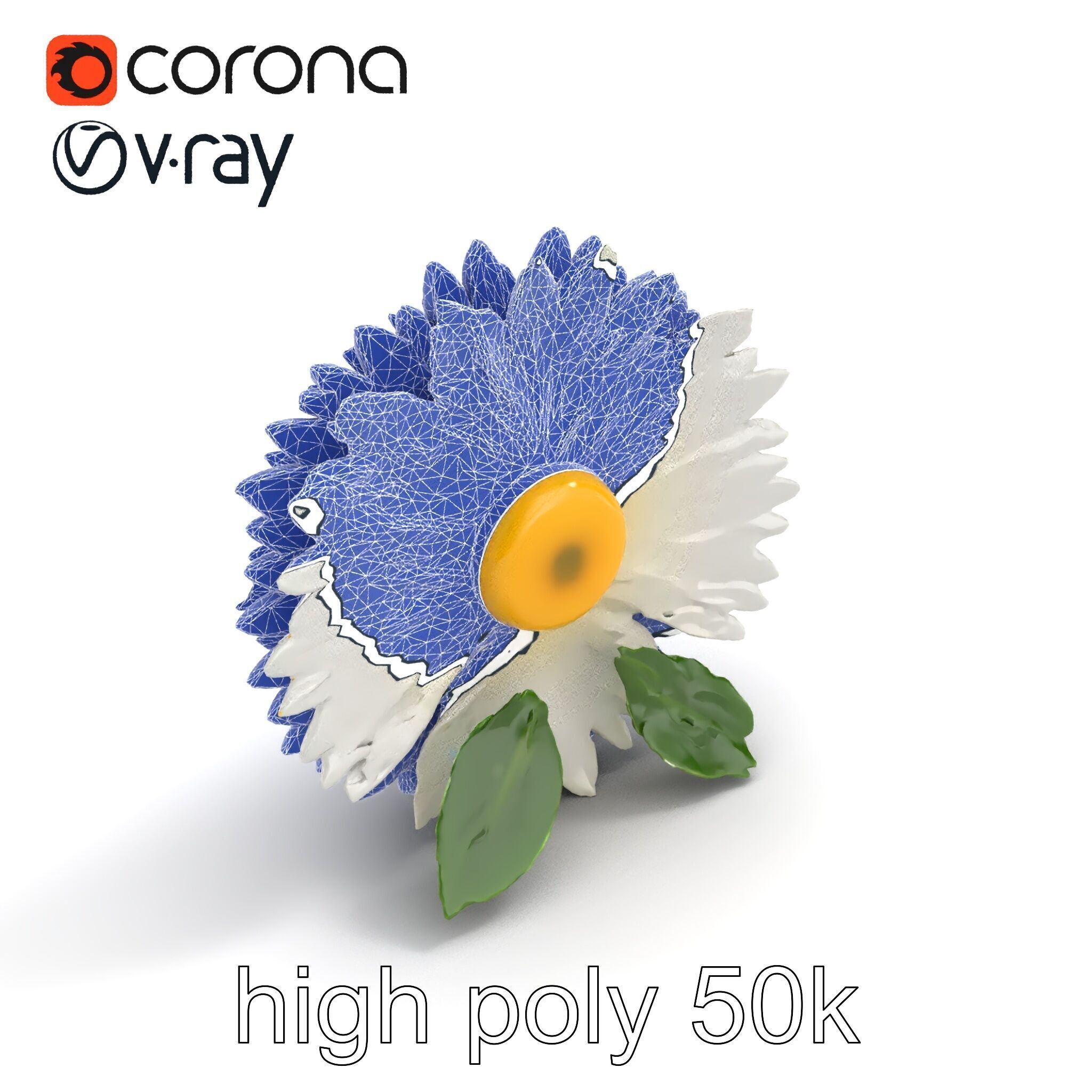 Chrysanthemum White Petal Realistic Texture model pack Low-poly 3D model_30