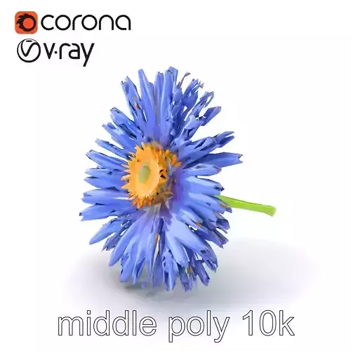 Blue Aster Flower Model Pack Low-poly 3D model