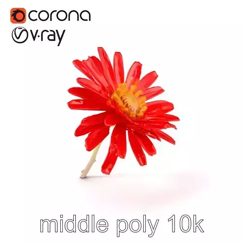 Red Aster Flower Natural model pack Low-poly 3D model