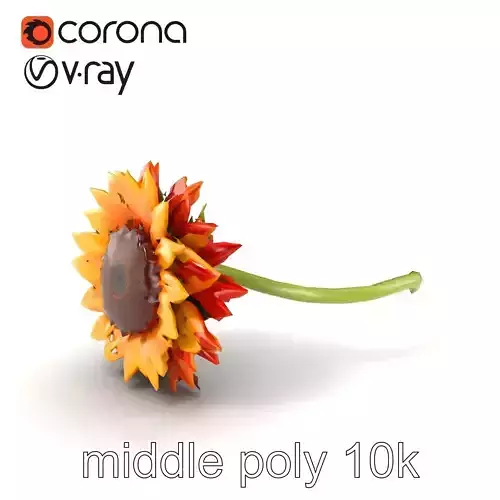 Decorative Sunflower Blossom 3D Model Pack