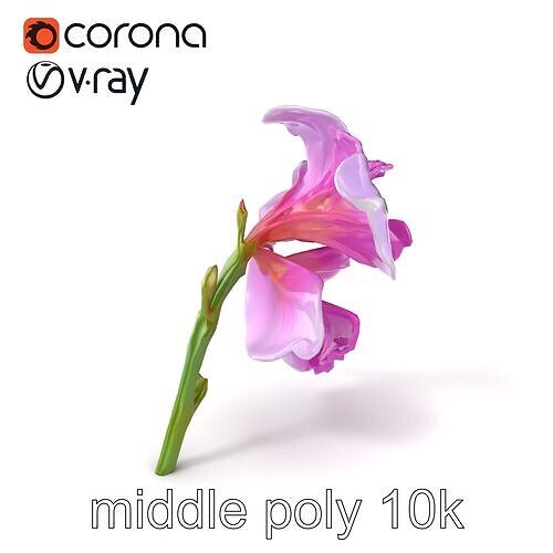 Freesia Double Bloom Realism model pack Low-poly 3D model