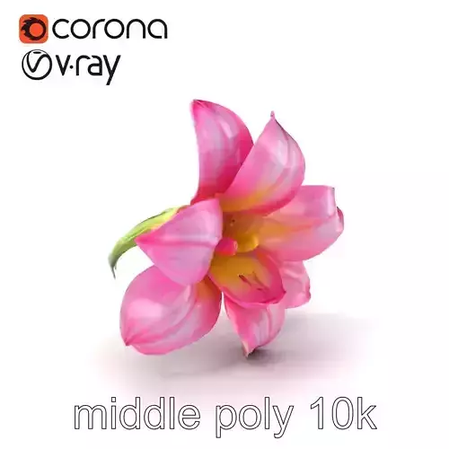 Freesia Pink Flower Natural Details Model Pack Low-poly 3D model