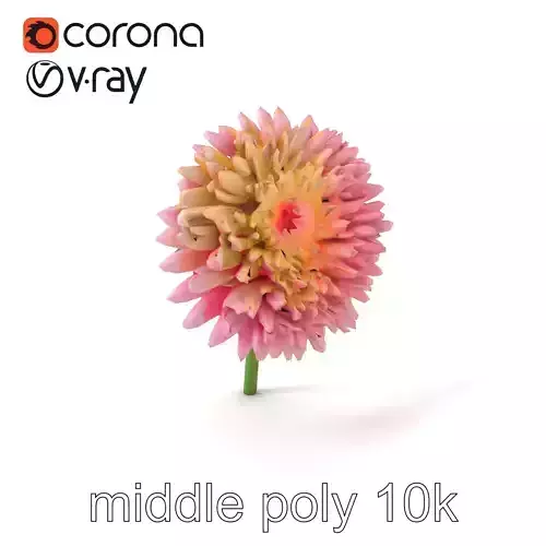 Chrysanthemum Bicolor Flower Gradient model pack Low-poly 3D model