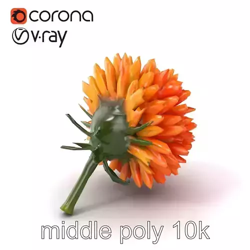 Chrysanthemum Minor Flower Model Pack Low-poly 3D model
