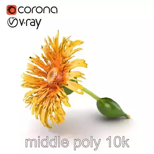 Yellow Aster Sunny Bloom model pack Low-poly 3D model