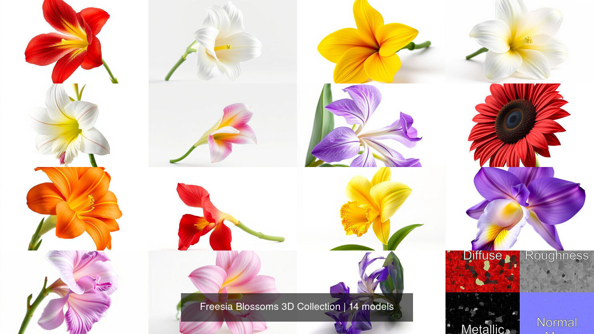 Freesia Blossoms 3D Collection _11