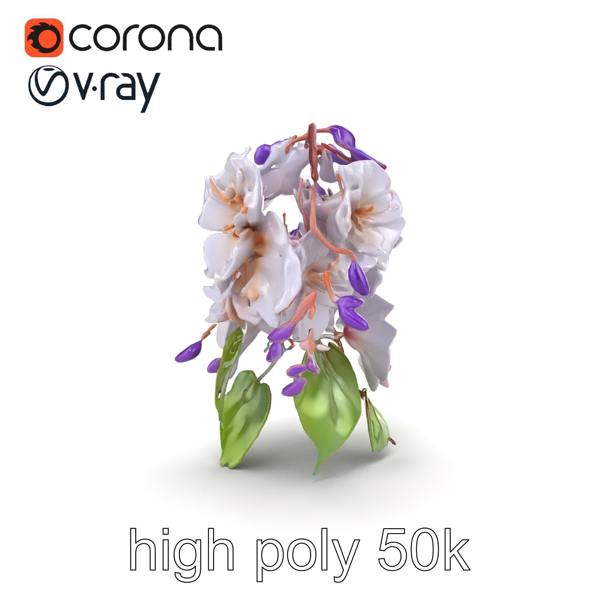 Double Wisteria Plush Flowers Realistic Model Pack Low-poly 3D model_18