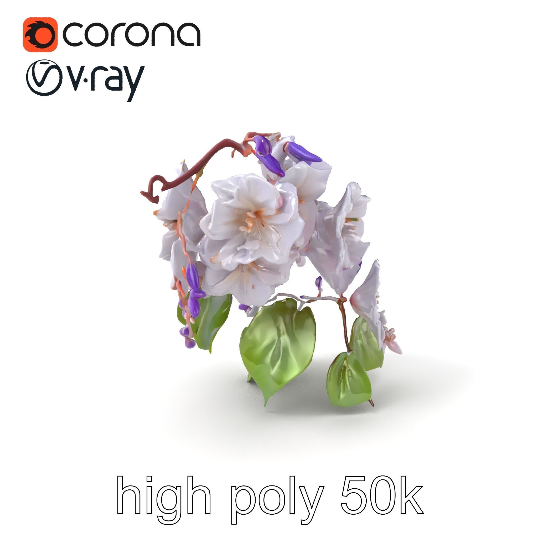Double Wisteria Plush Flowers Realistic Model Pack Low-poly 3D model_2