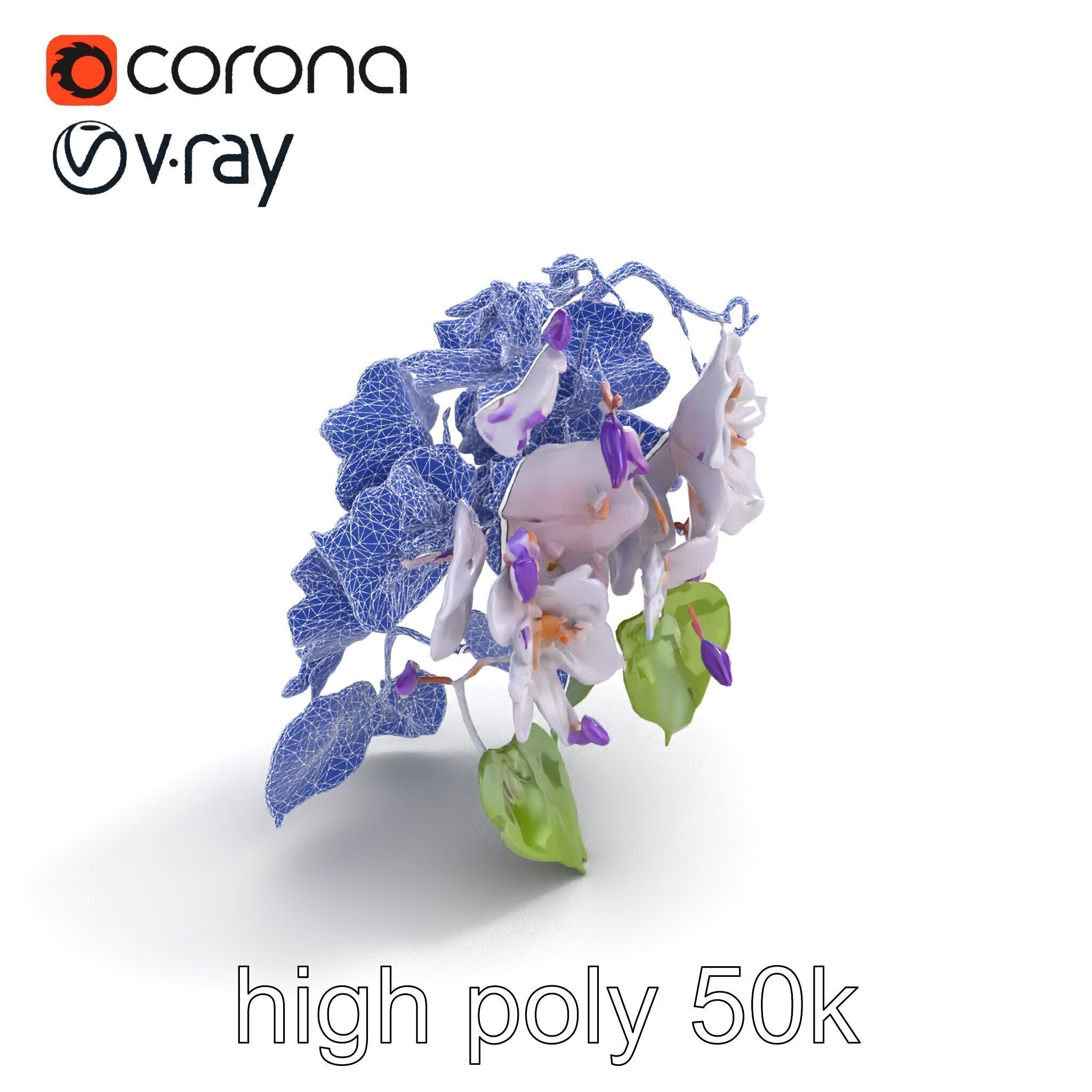 Double Wisteria Plush Flowers Realistic Model Pack Low-poly 3D model_21