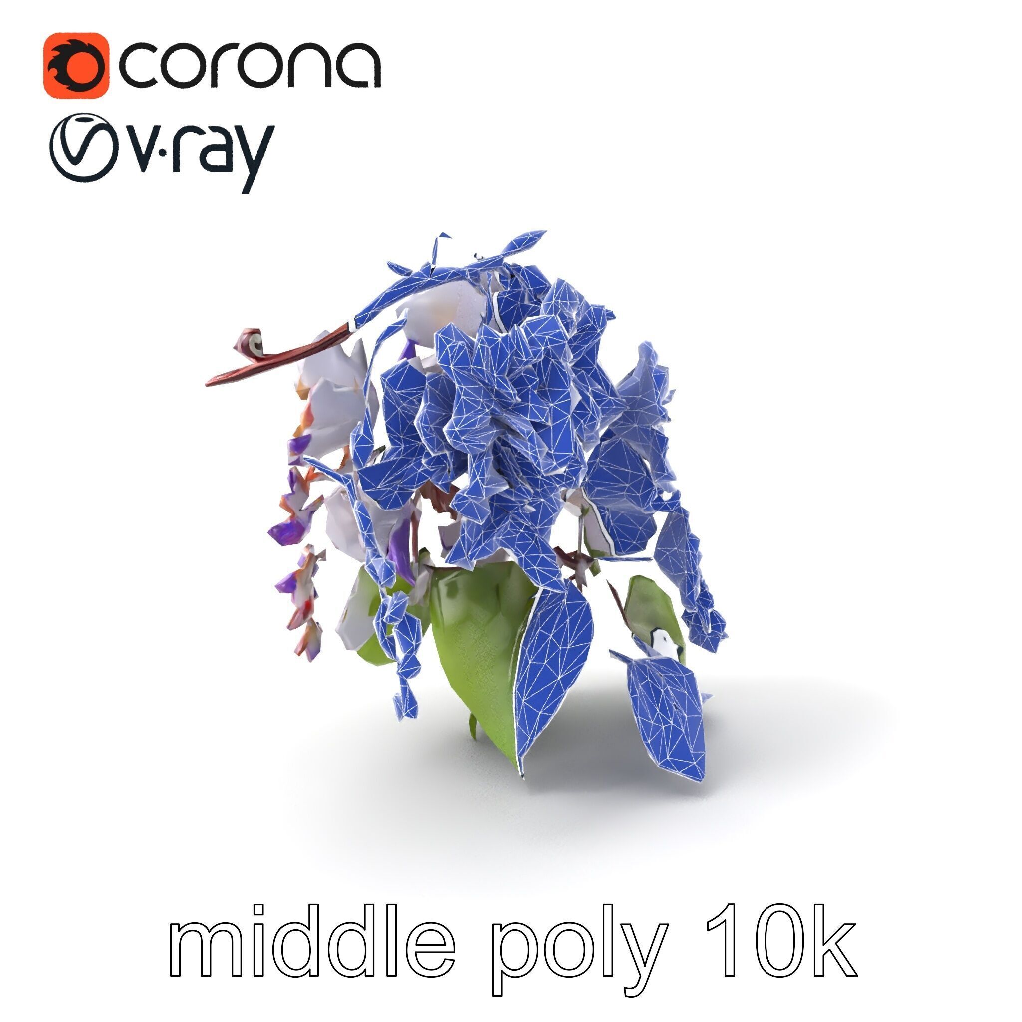 Double Wisteria Plush Flowers Realistic Model Pack Low-poly 3D model_5