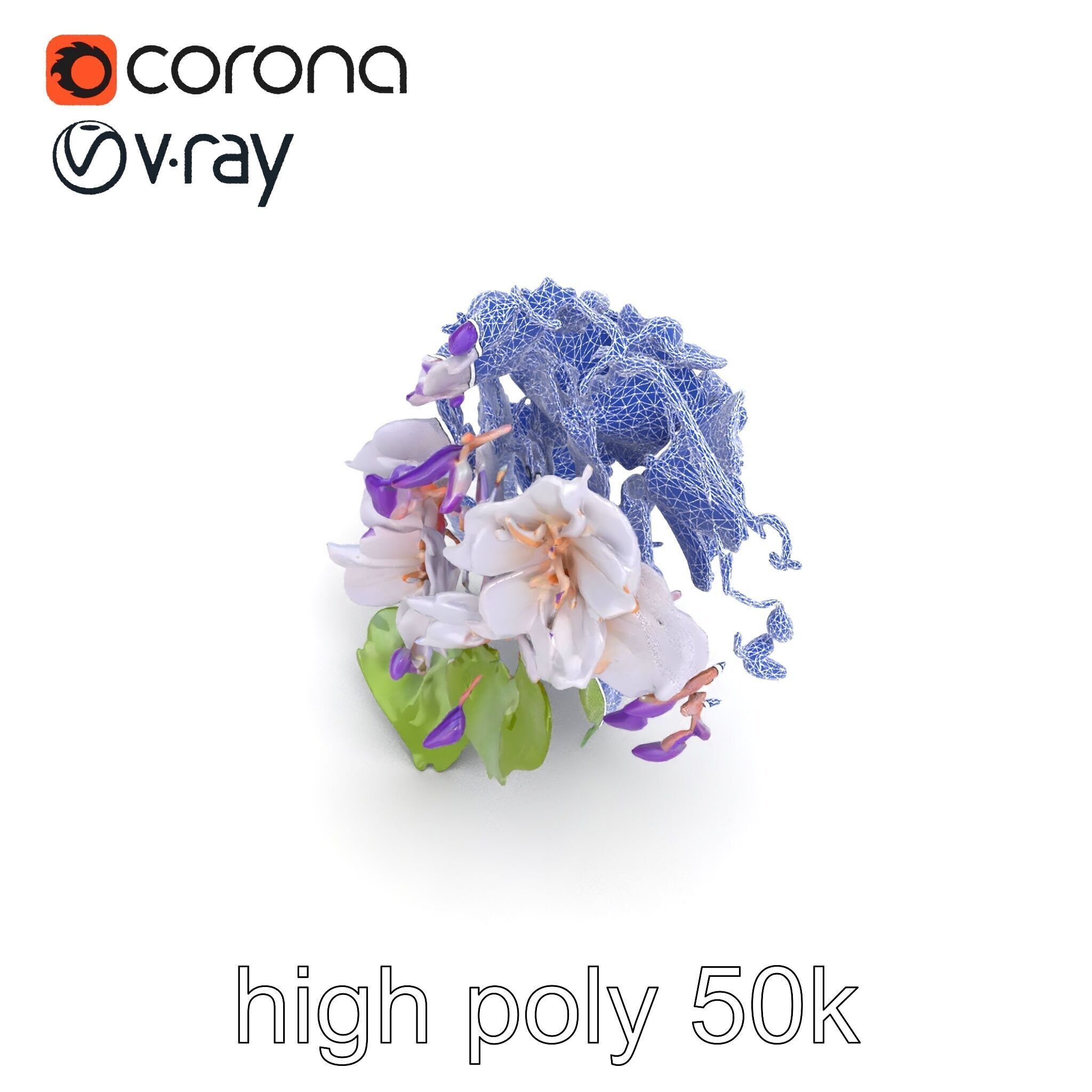Double Wisteria Plush Flowers Realistic Model Pack Low-poly 3D model_27