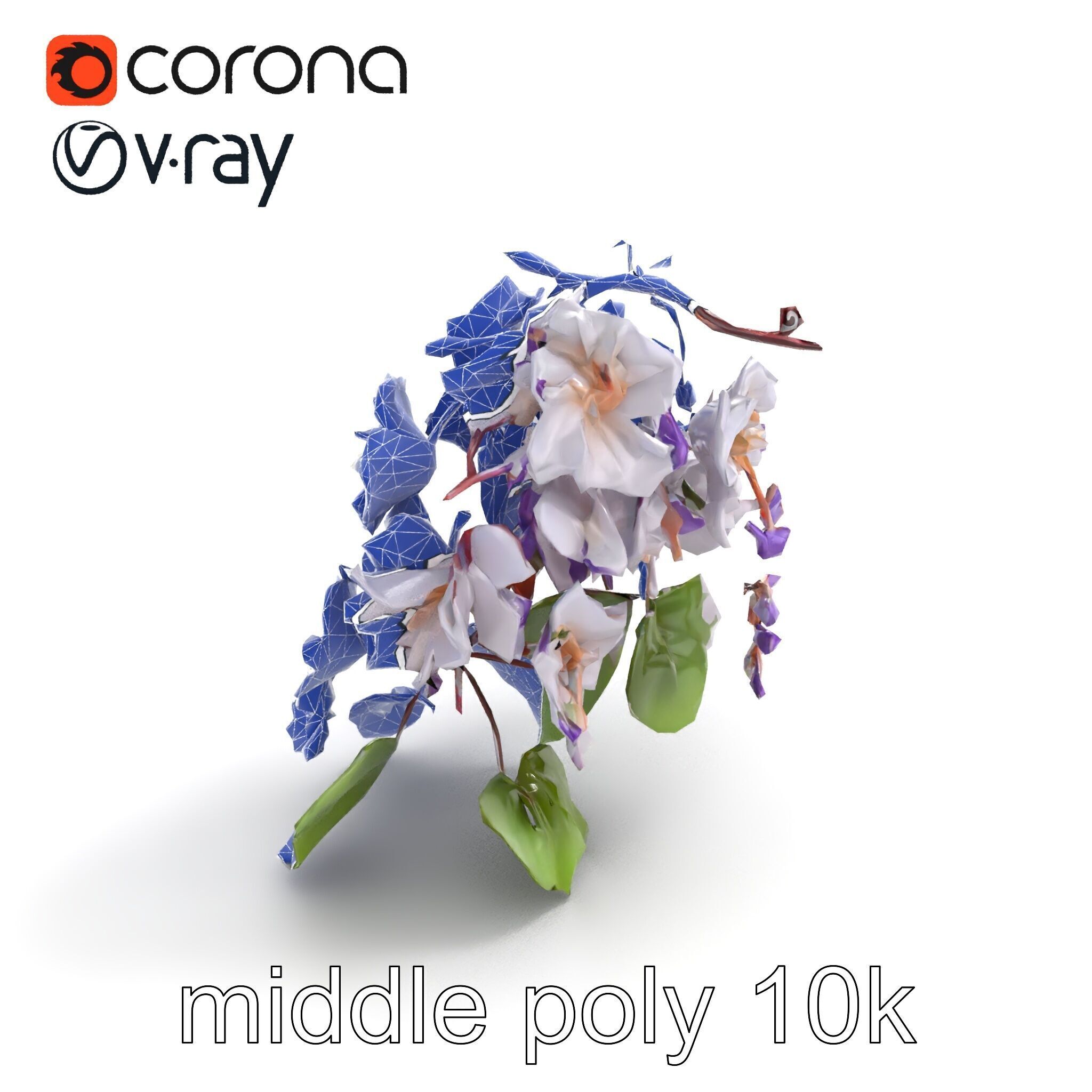 Double Wisteria Plush Flowers Realistic Model Pack Low-poly 3D model_30