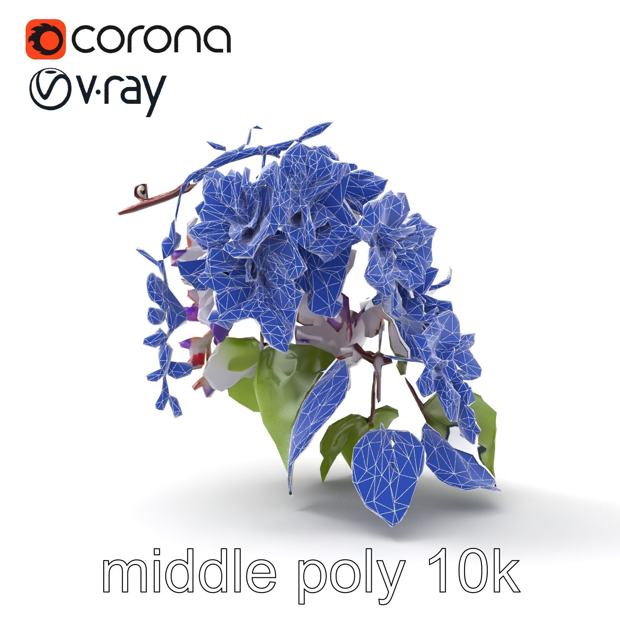 Double Wisteria Plush Flowers Realistic Model Pack Low-poly 3D model_28