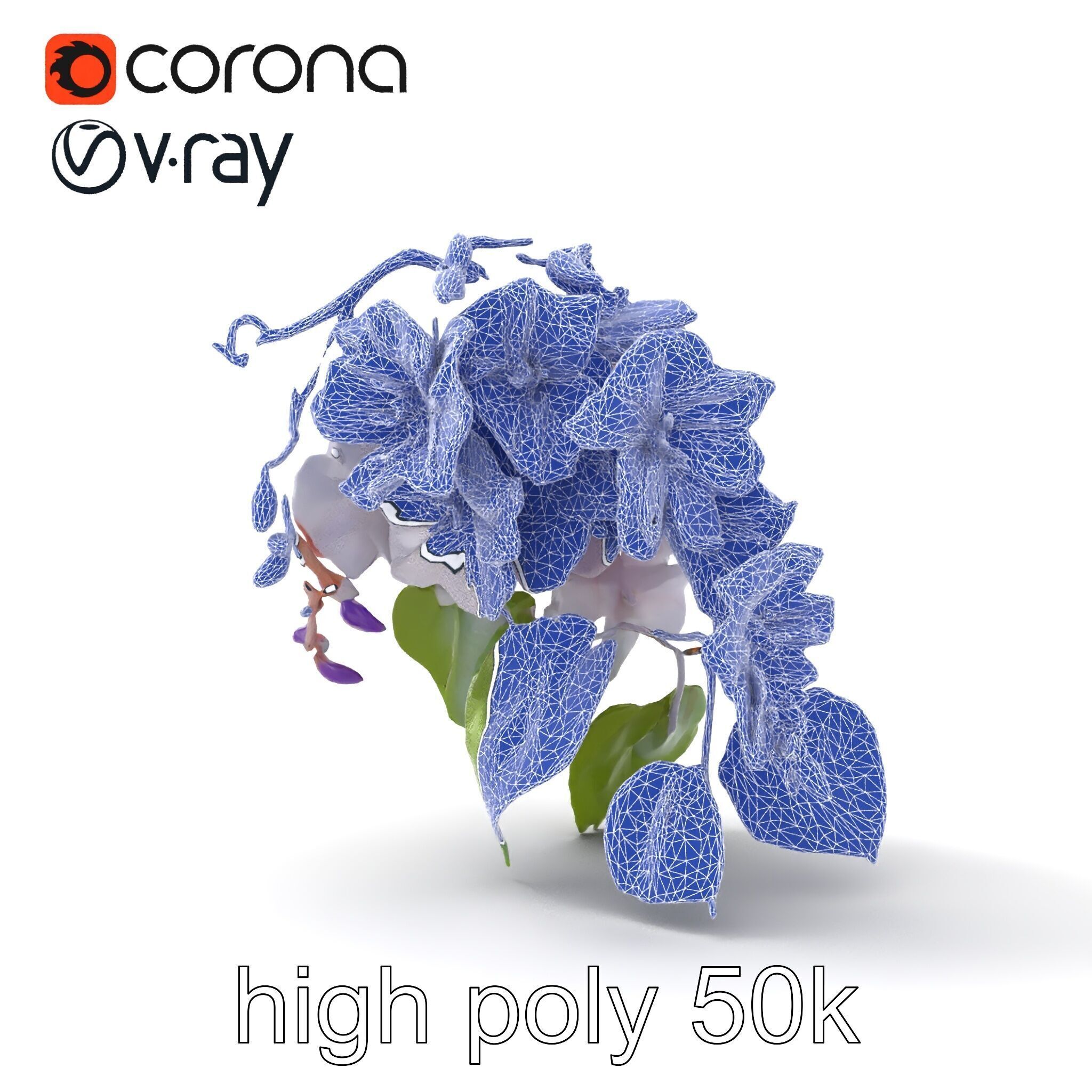 Double Wisteria Plush Flowers Realistic Model Pack Low-poly 3D model_25