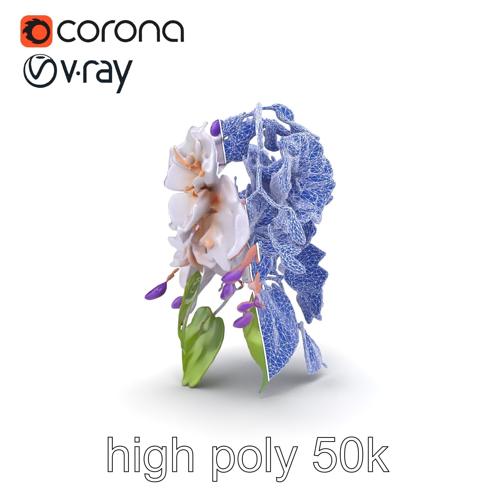 Double Wisteria Plush Flowers Realistic Model Pack Low-poly 3D model_16