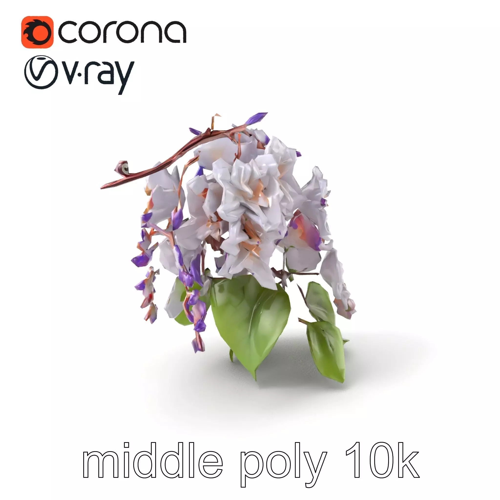 Double Wisteria Plush Flowers Realistic Model Pack Low-poly 3D model_0